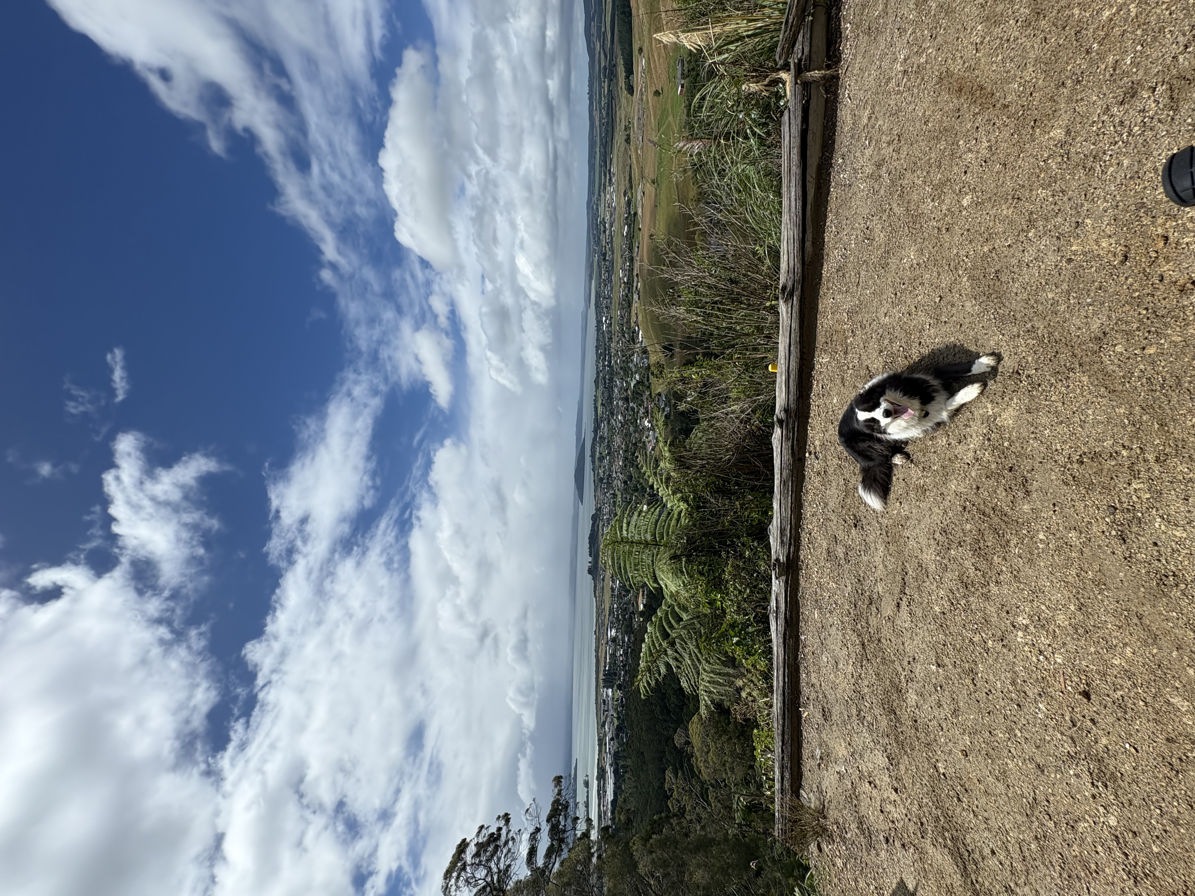 image-5