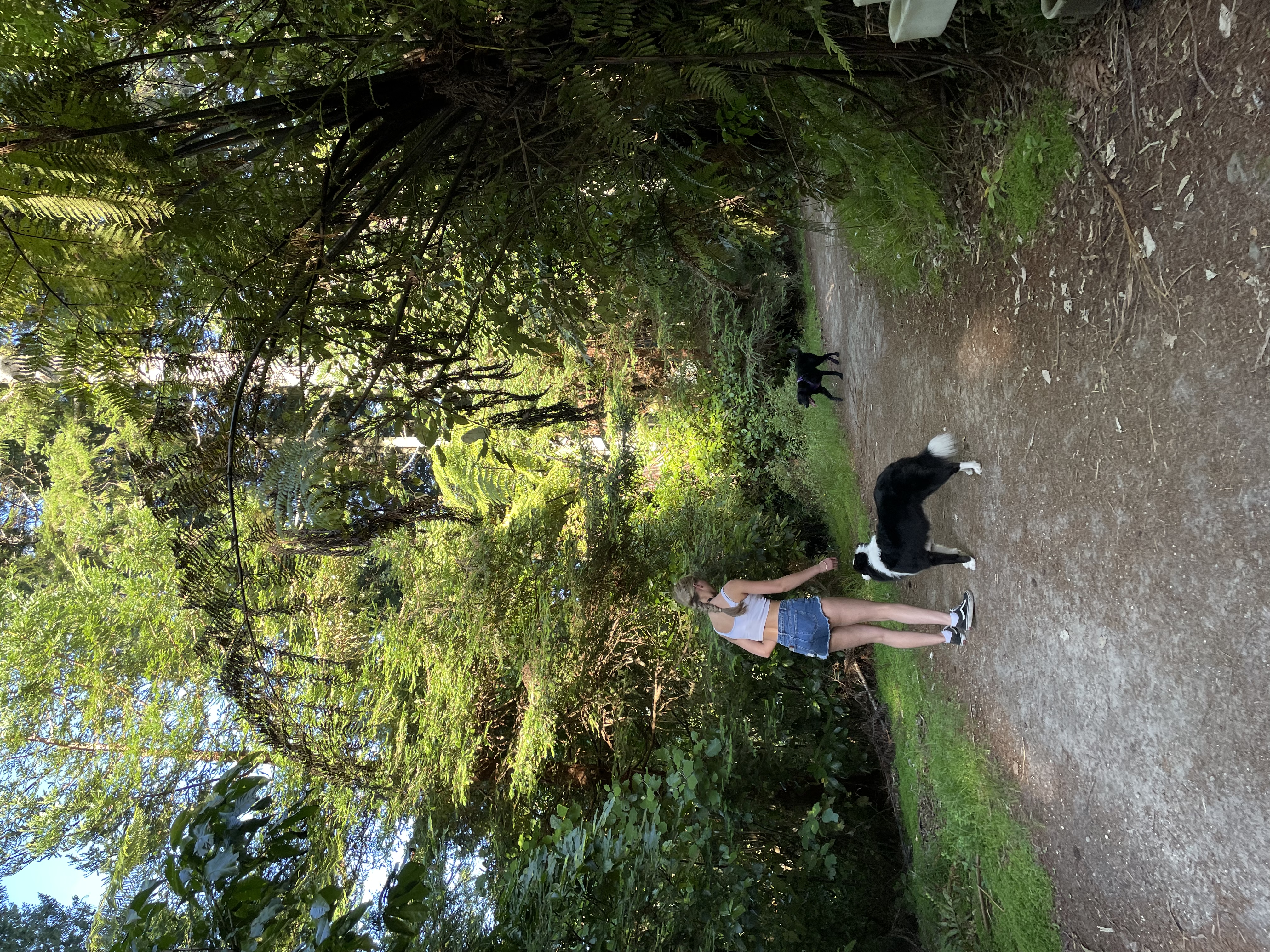 image-2