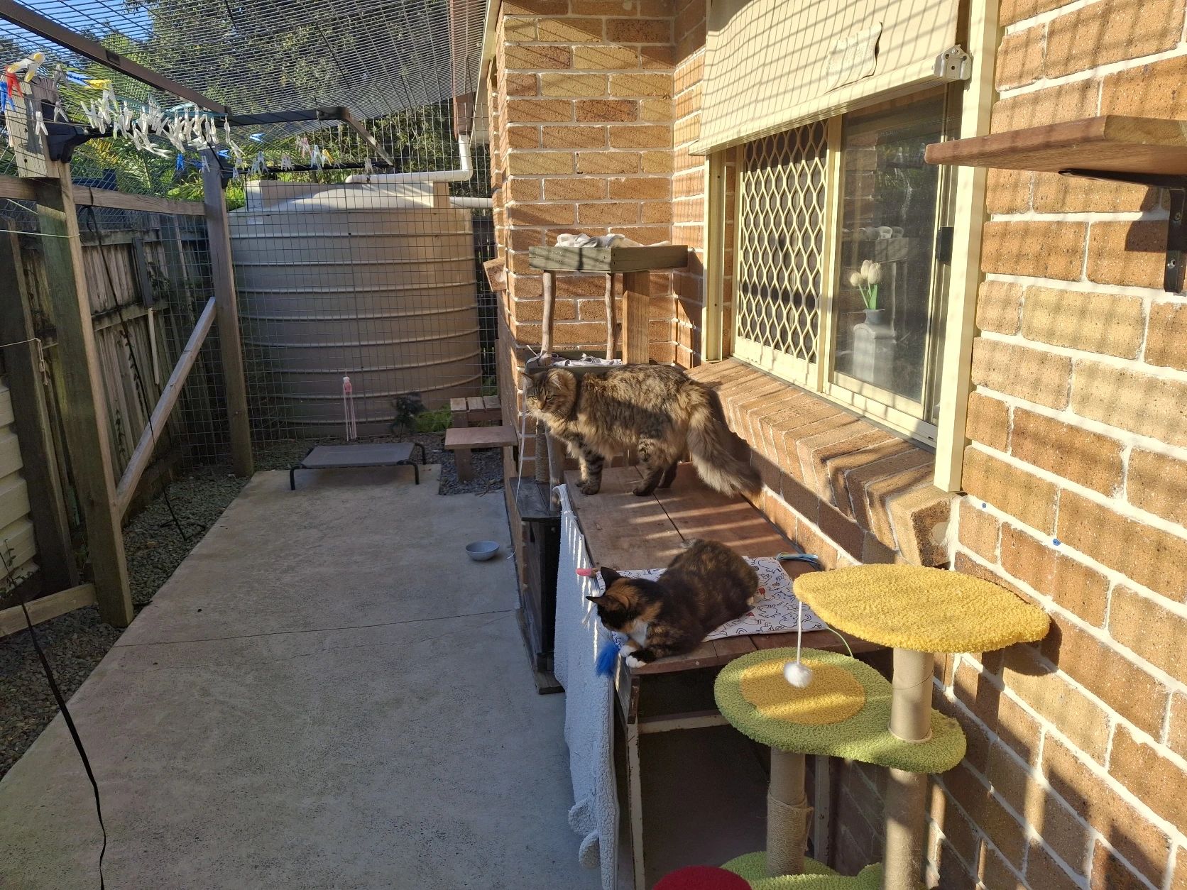 image-8