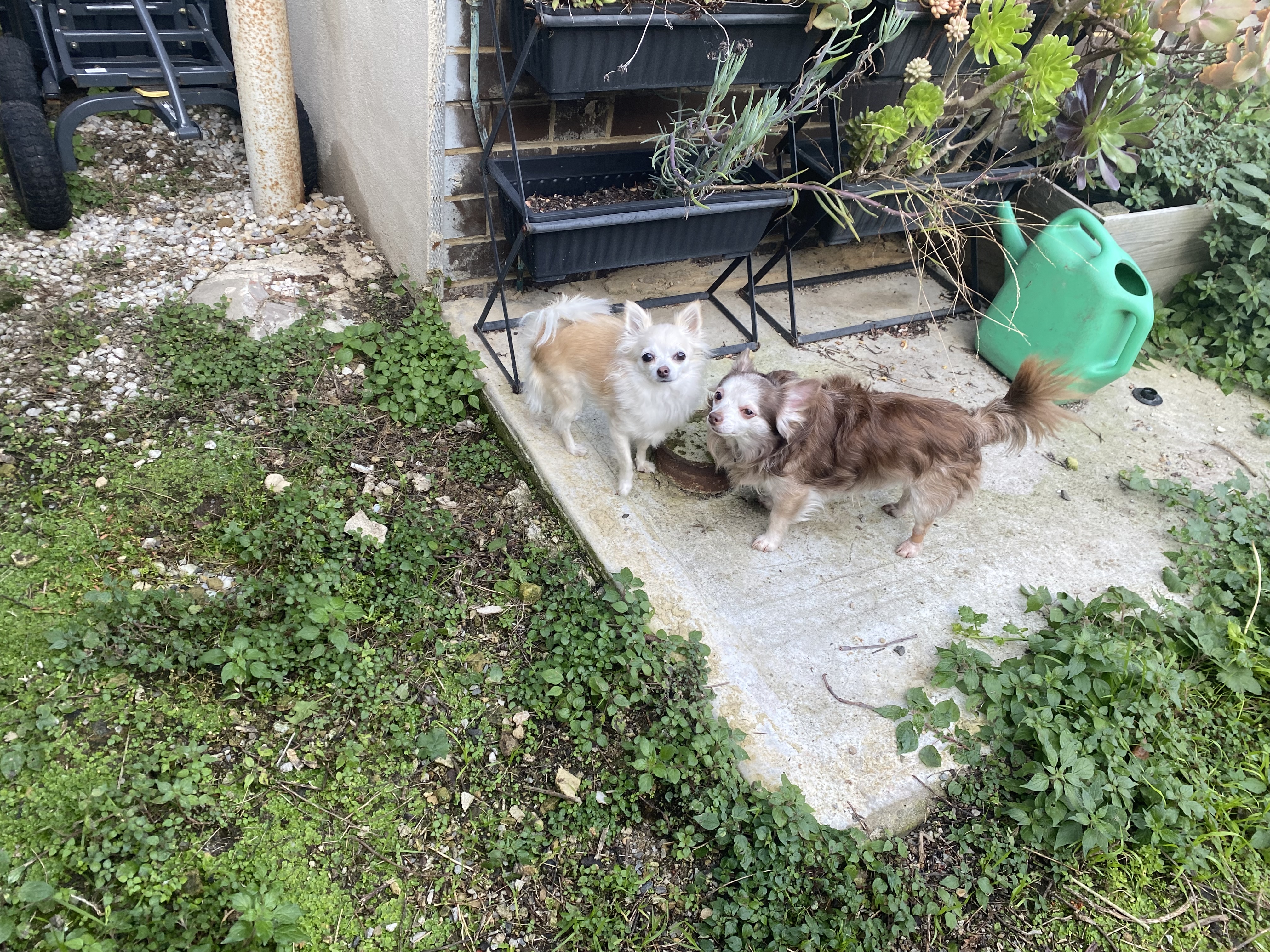 image-13