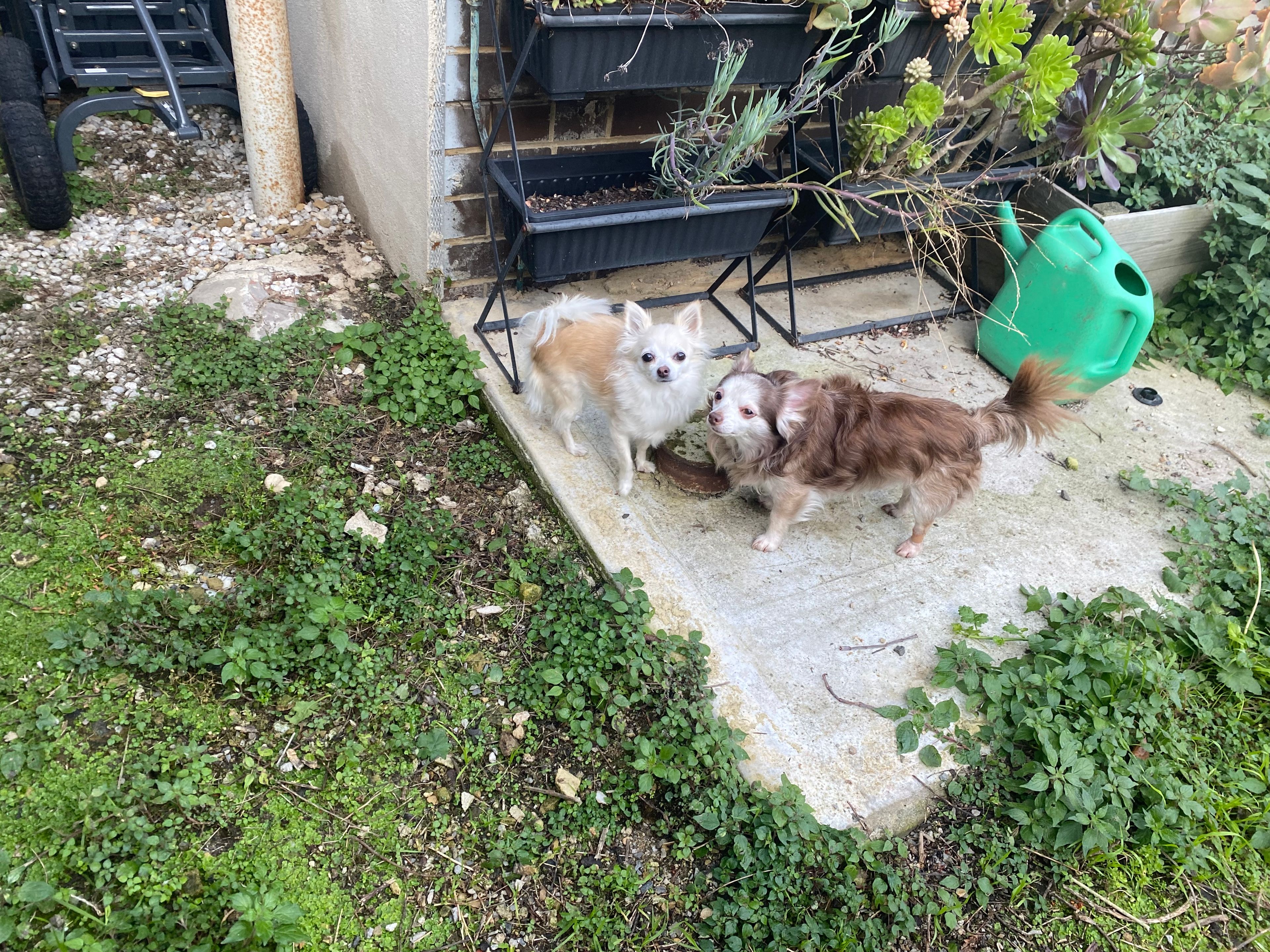 image-13