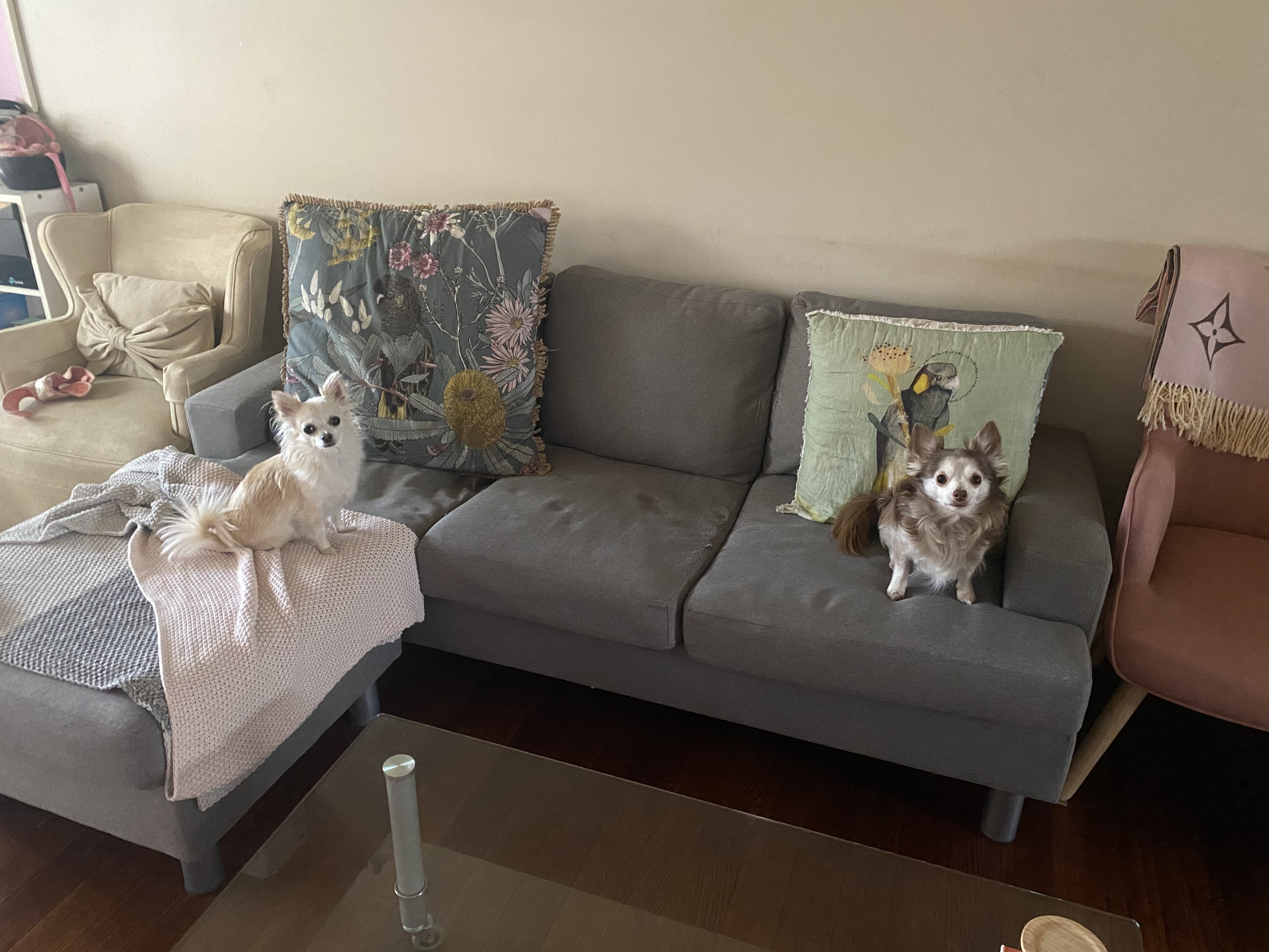 image-19