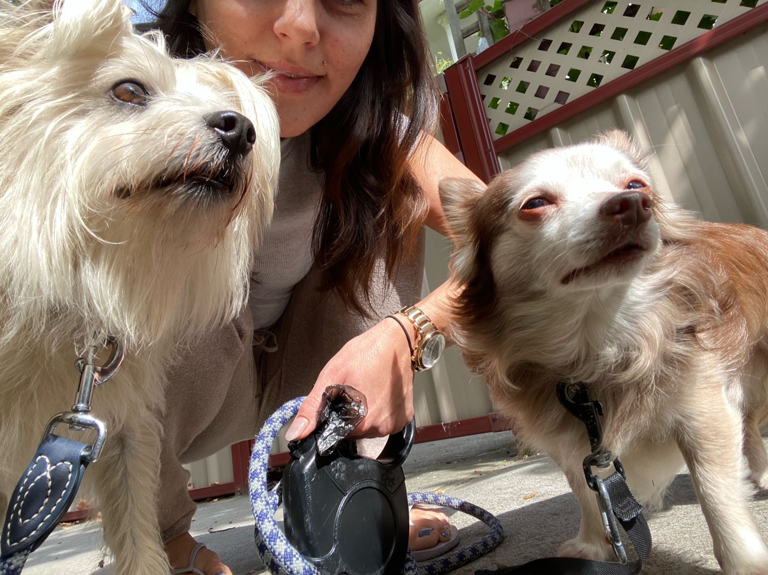 Jessica Pet sitter in Footscray VIC
