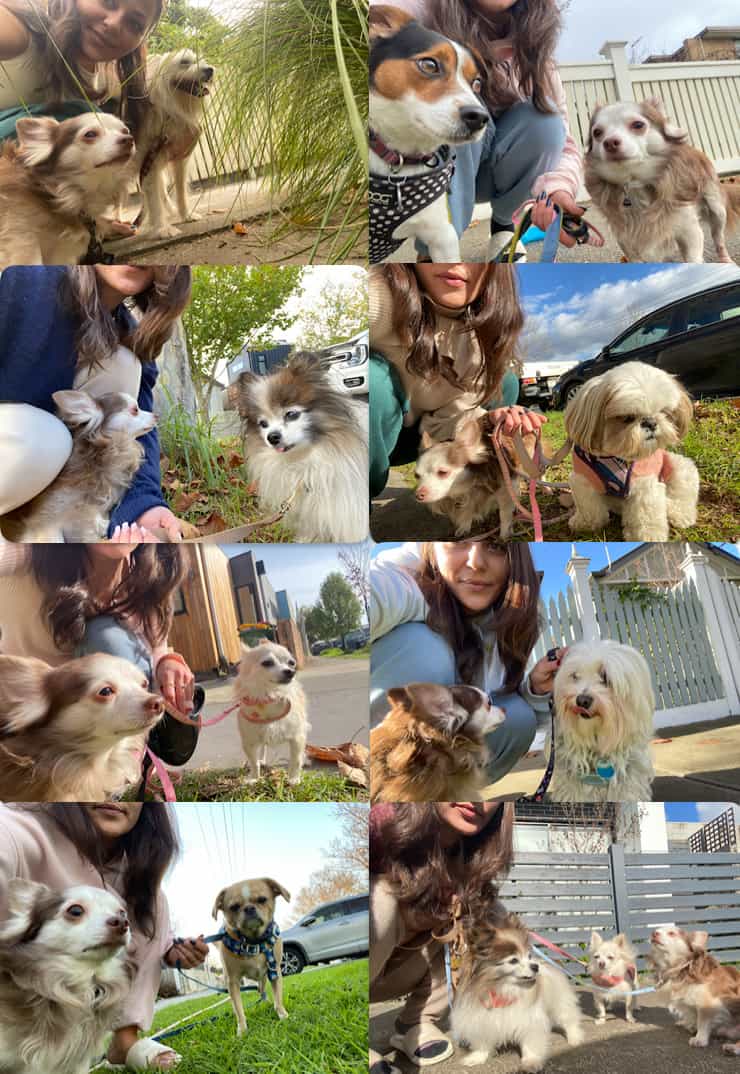 Jessica Pet sitter in Footscray VIC