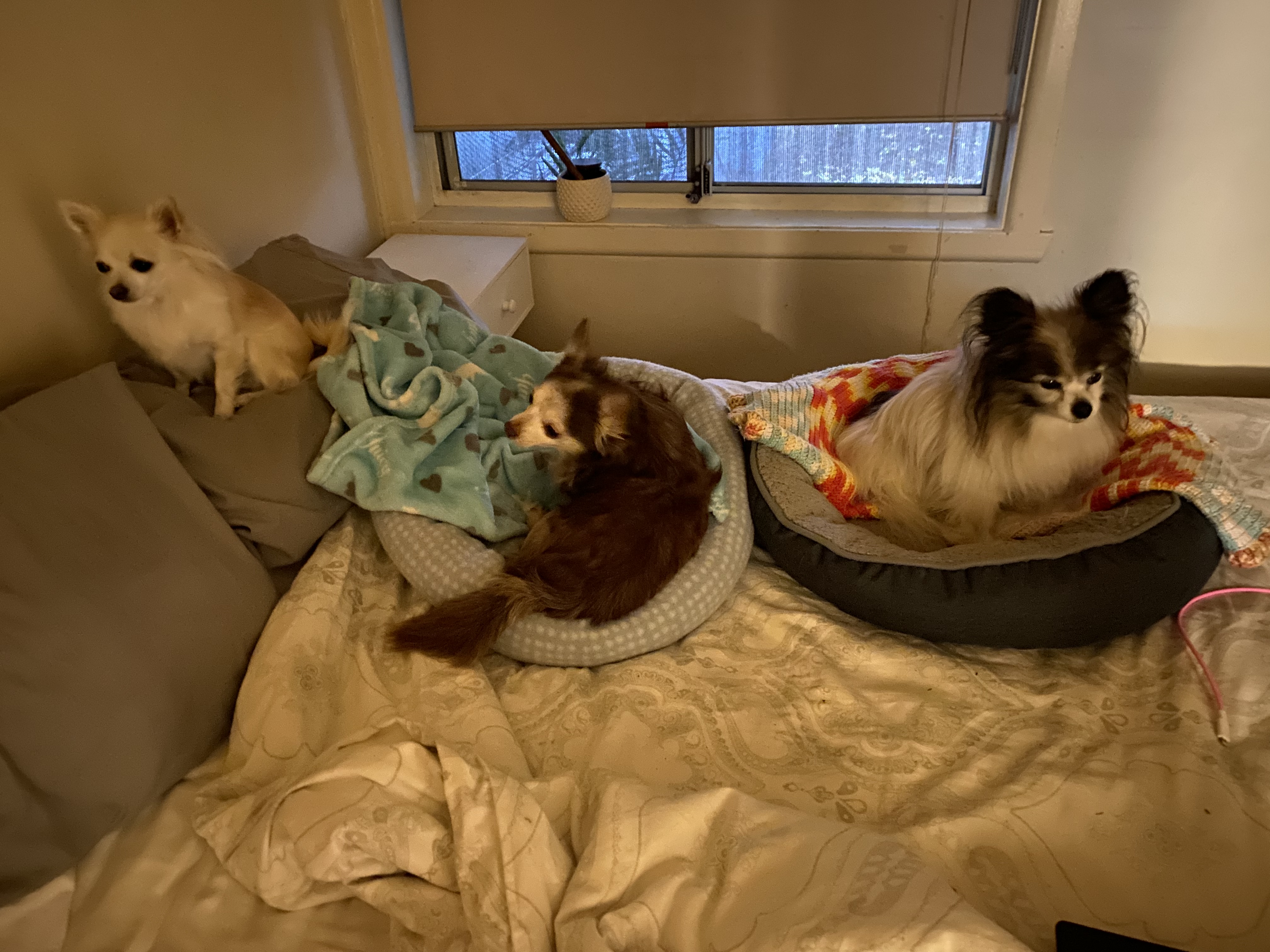 image-18