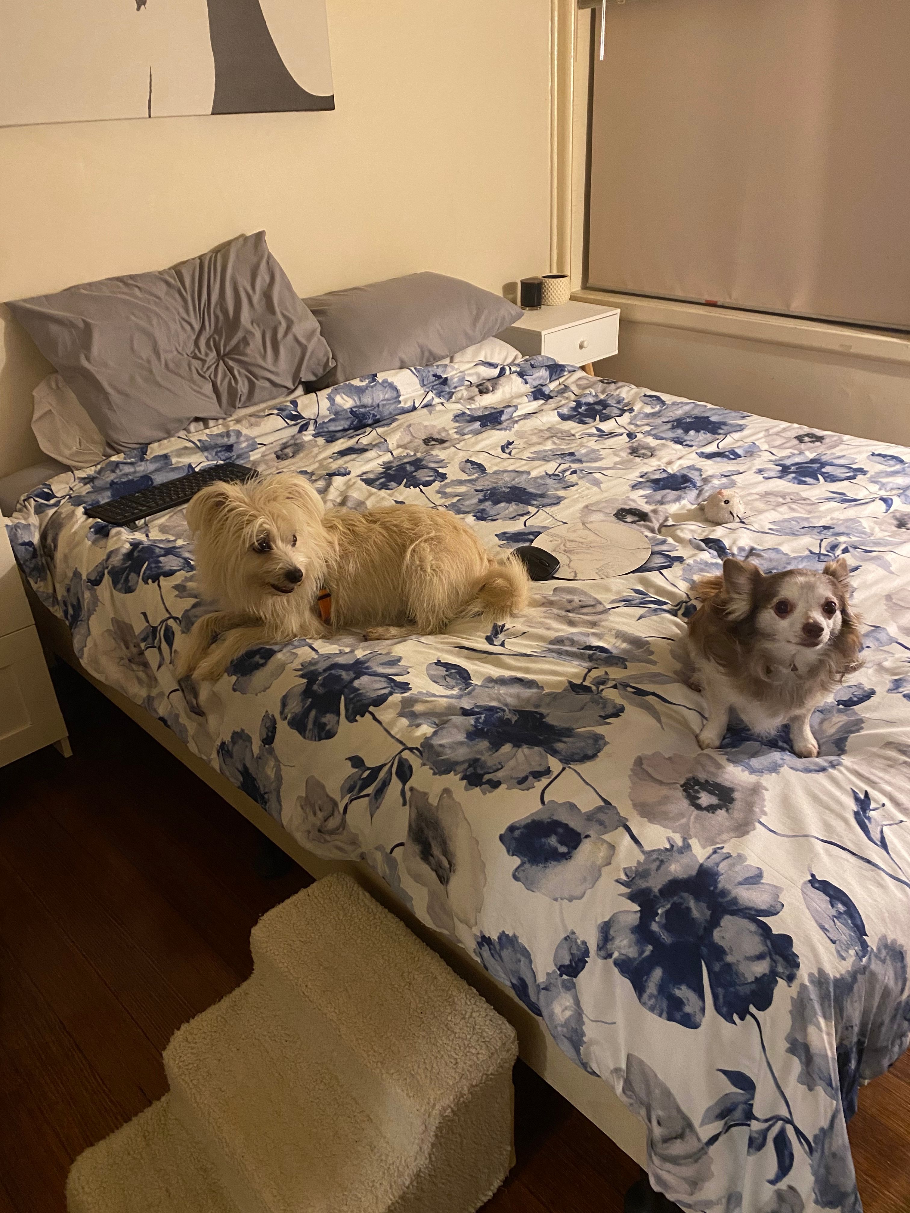 image-9