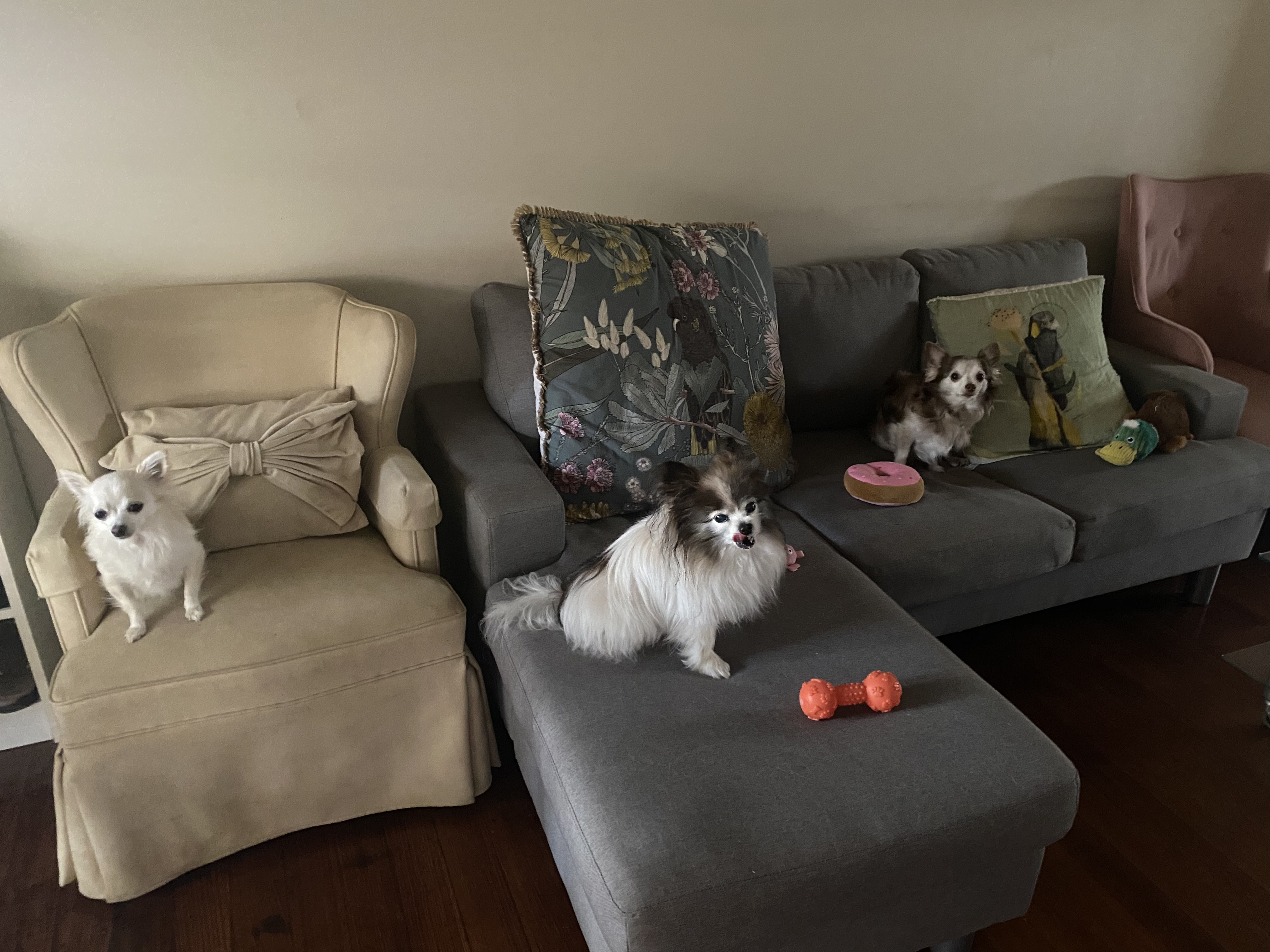 image-14