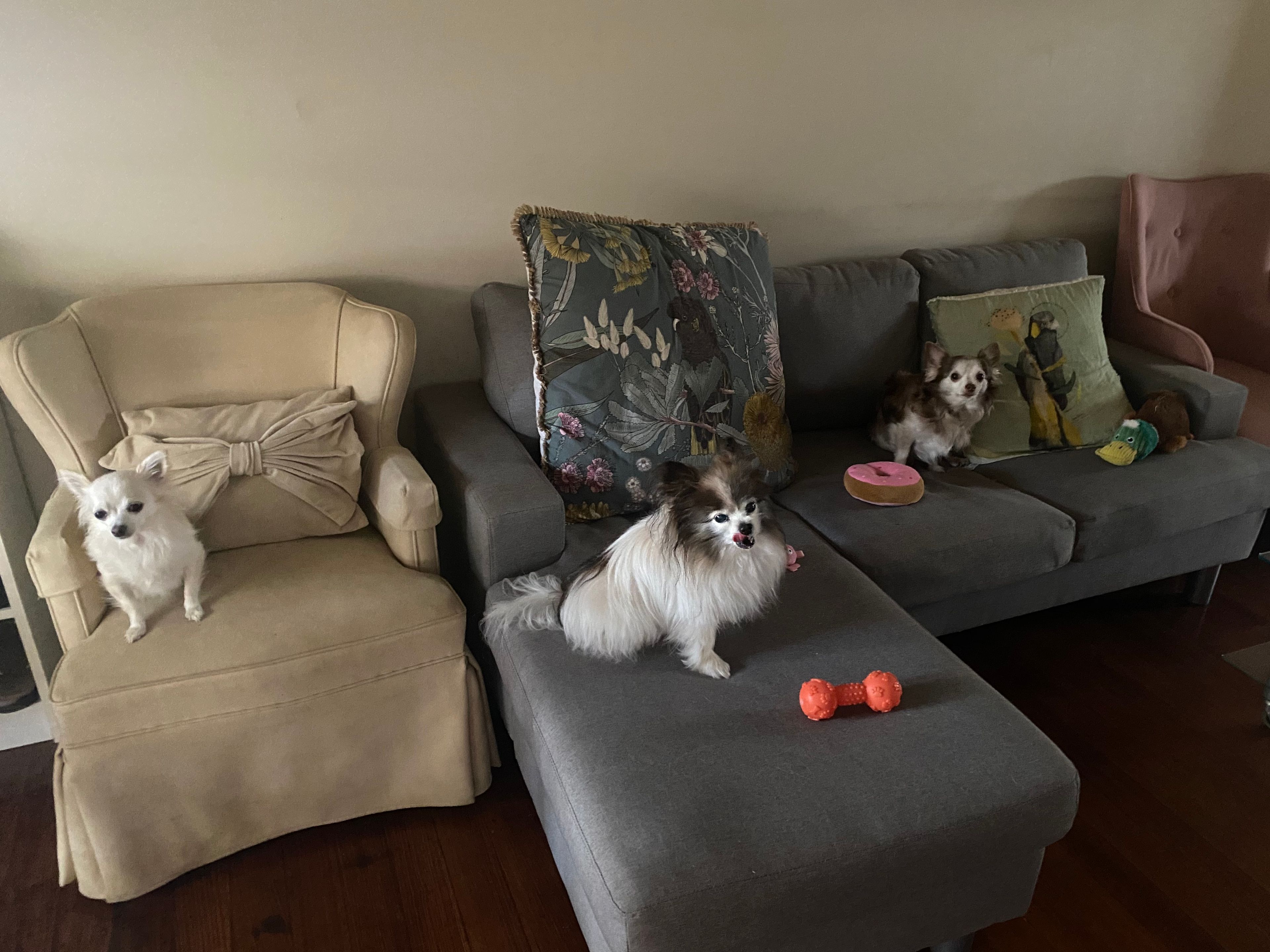 image-14
