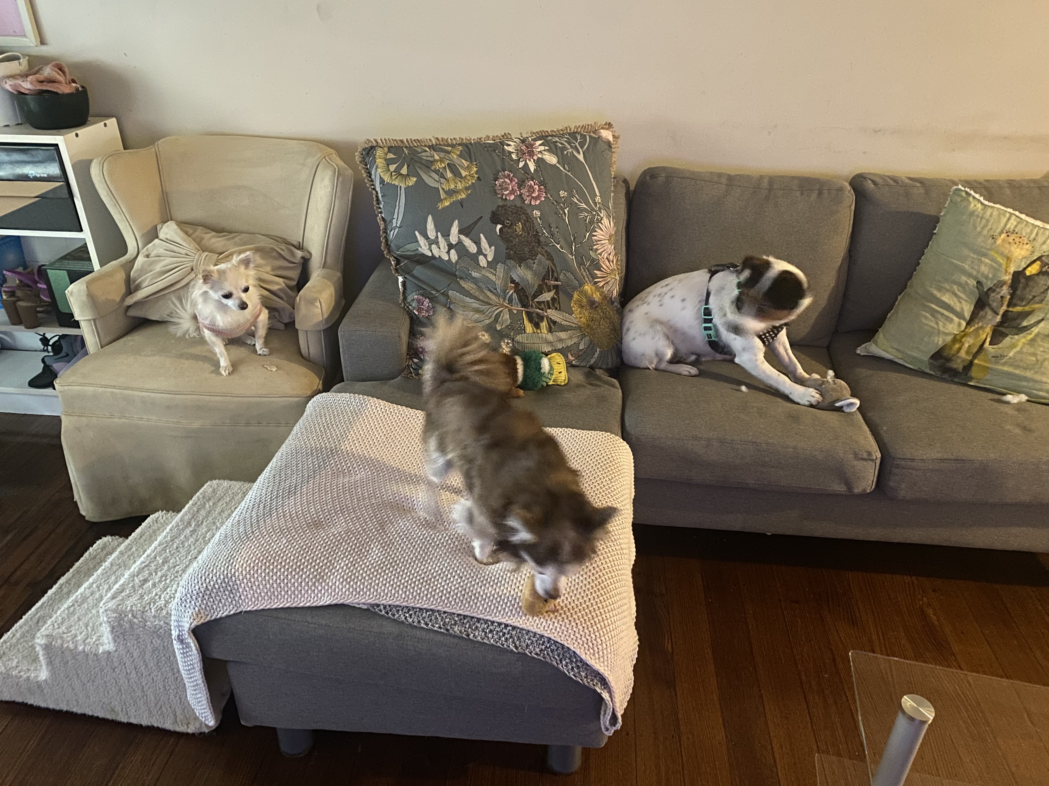 image-16