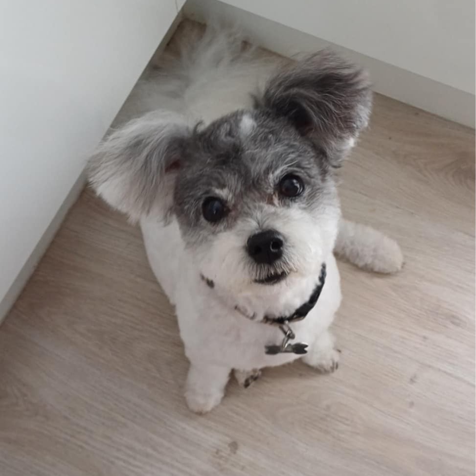 Alan