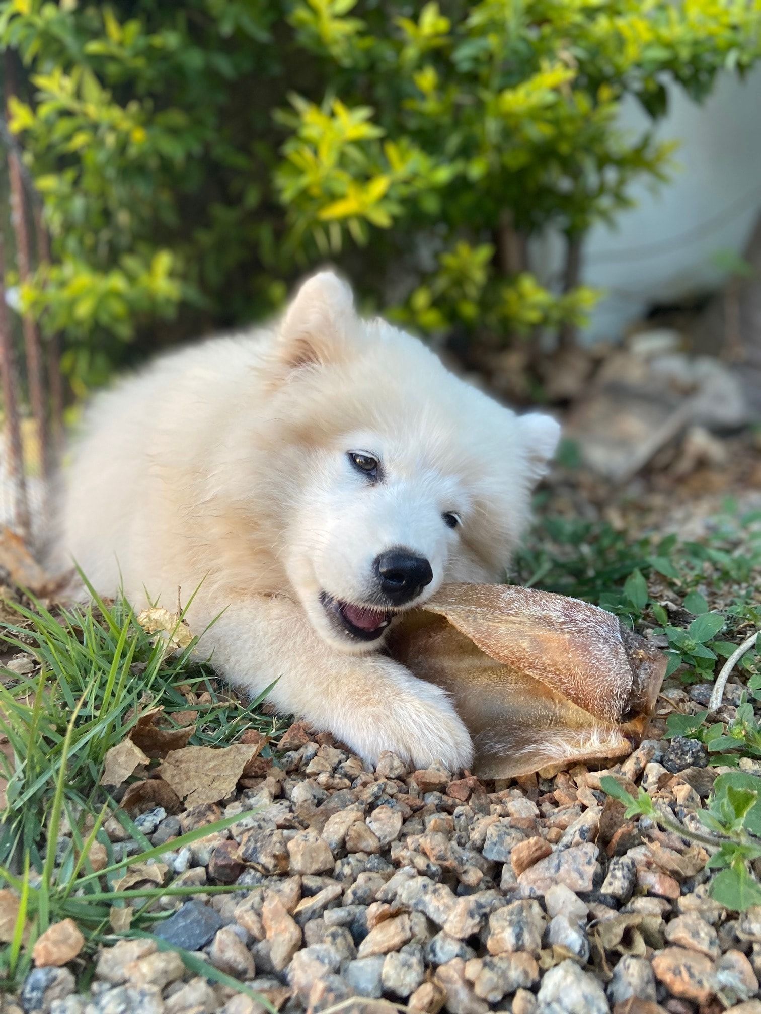 image-18