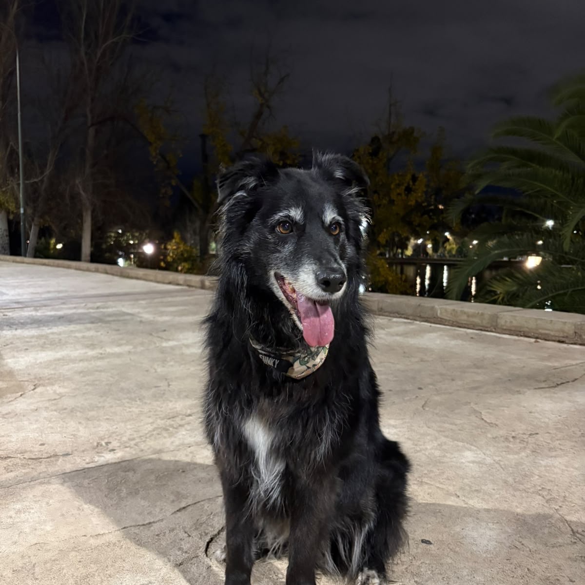 Frida