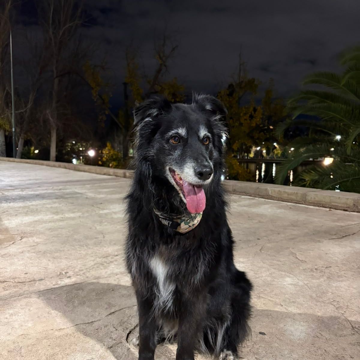 Frida