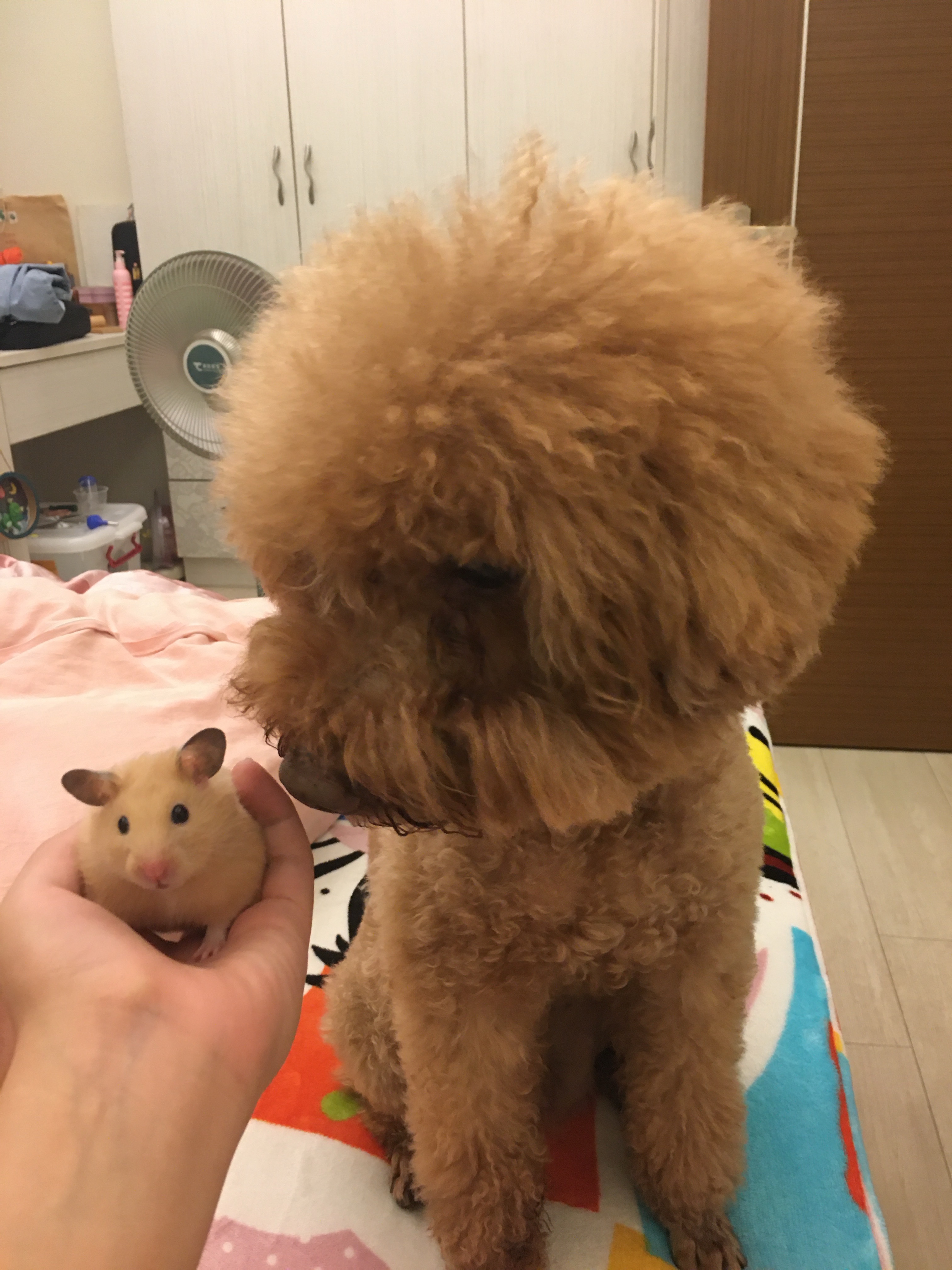 image-8