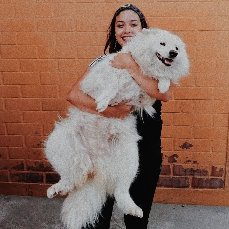 Javiera
