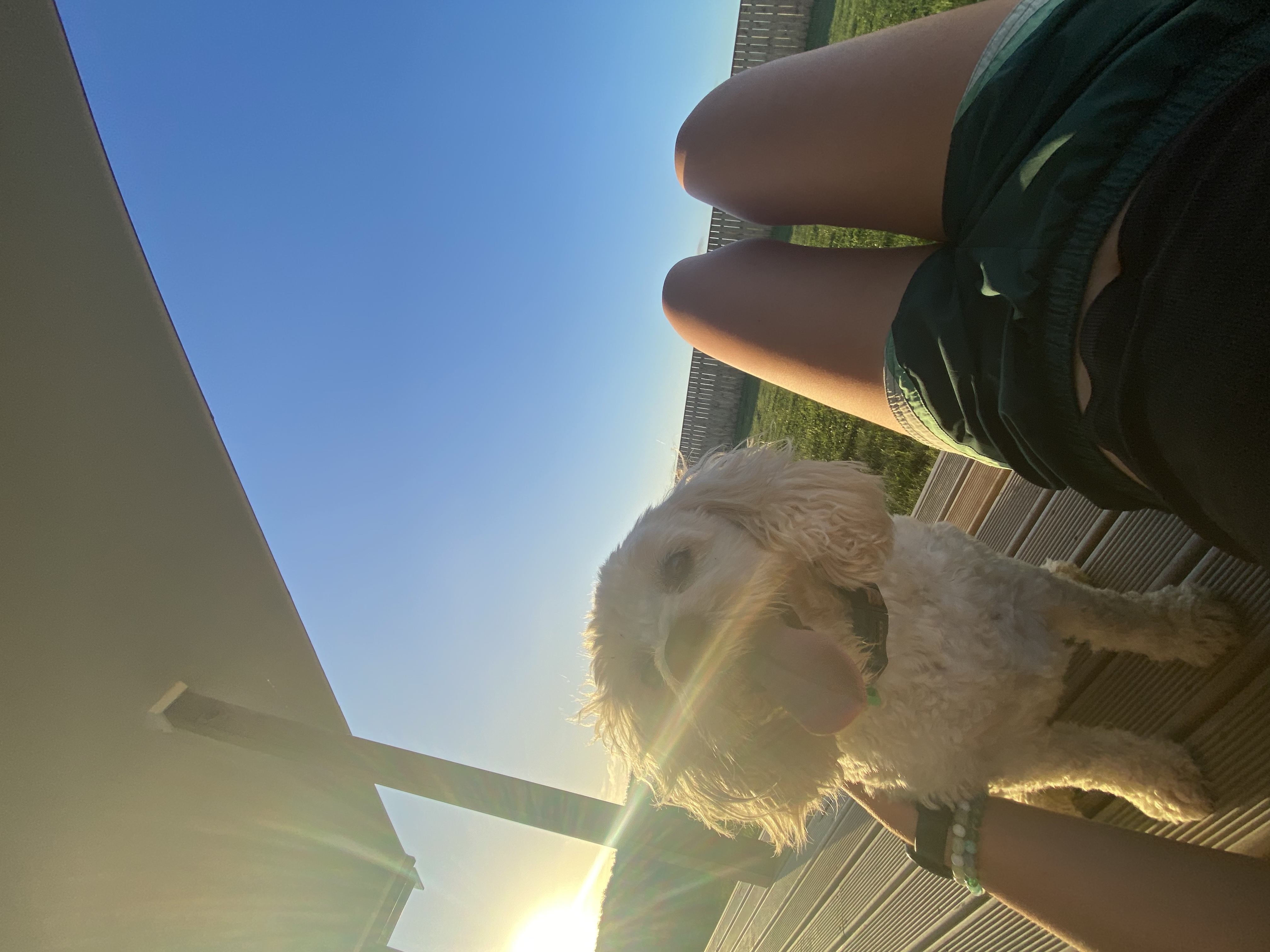 image-1
