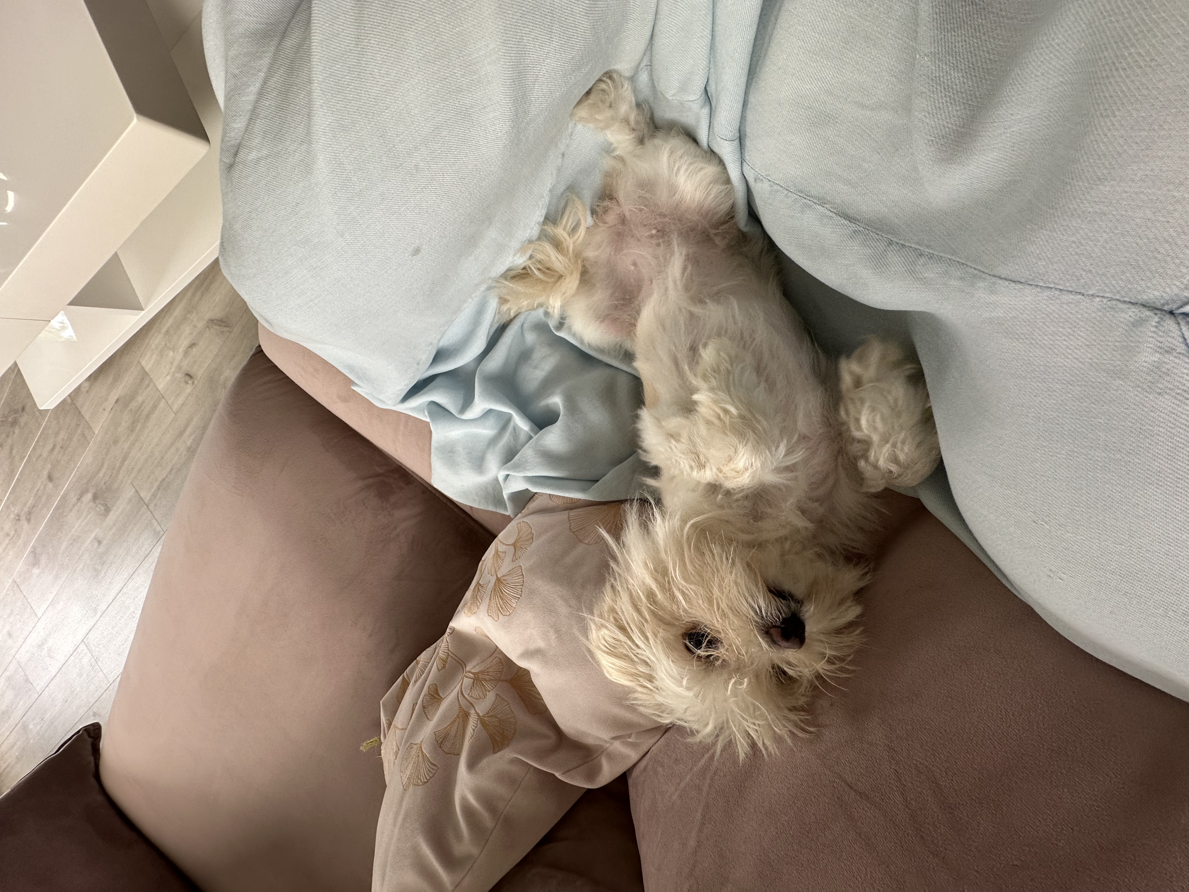 image-5