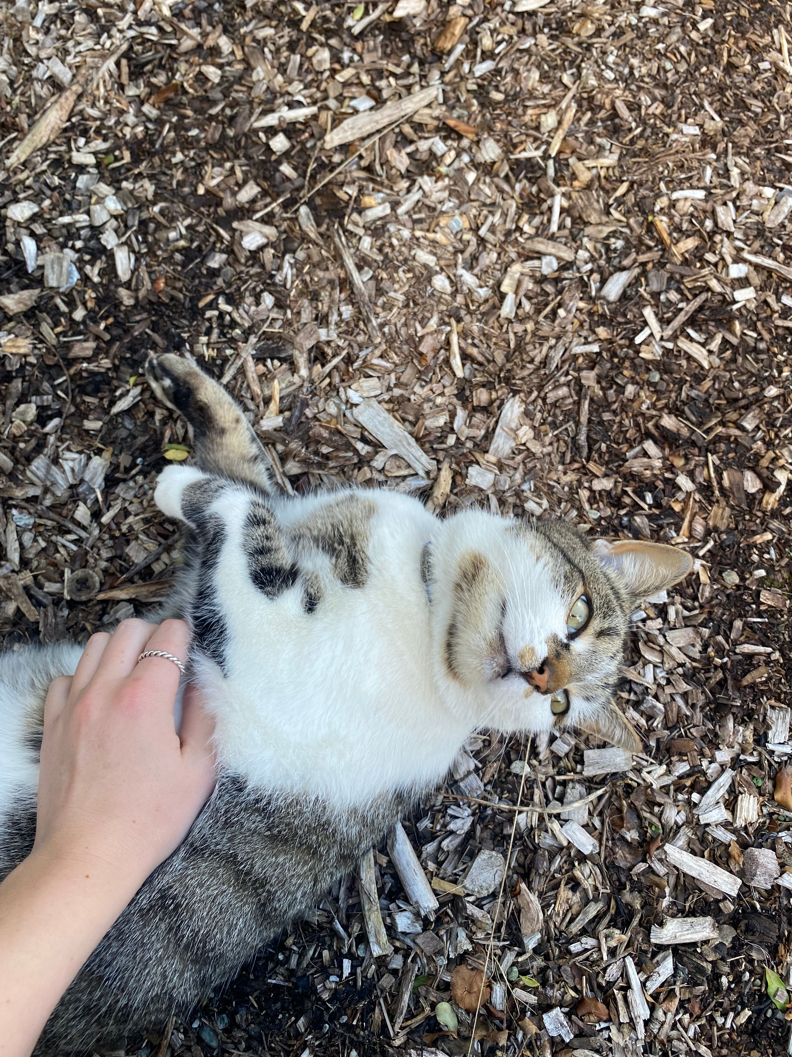 image-5