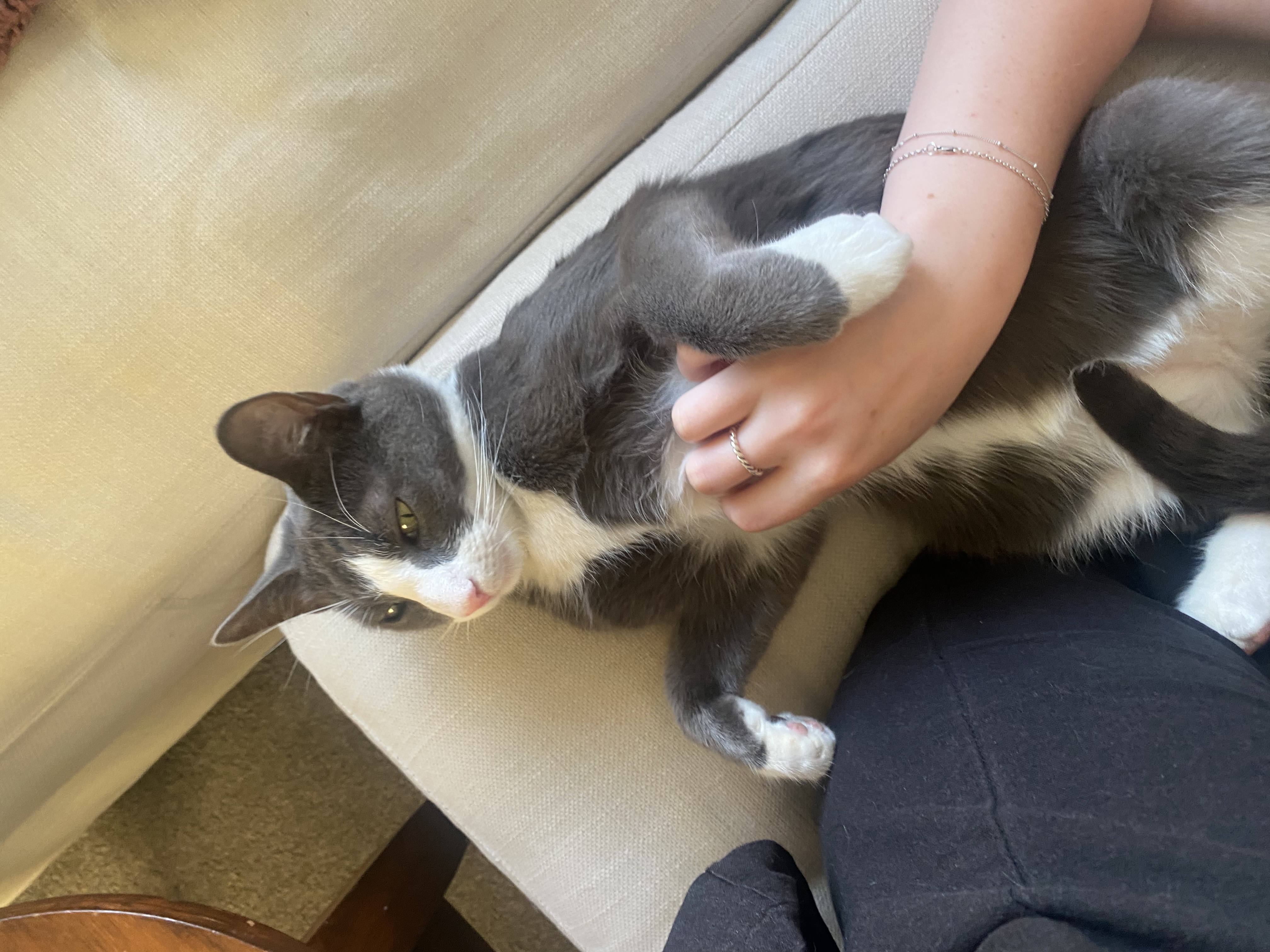 image-7