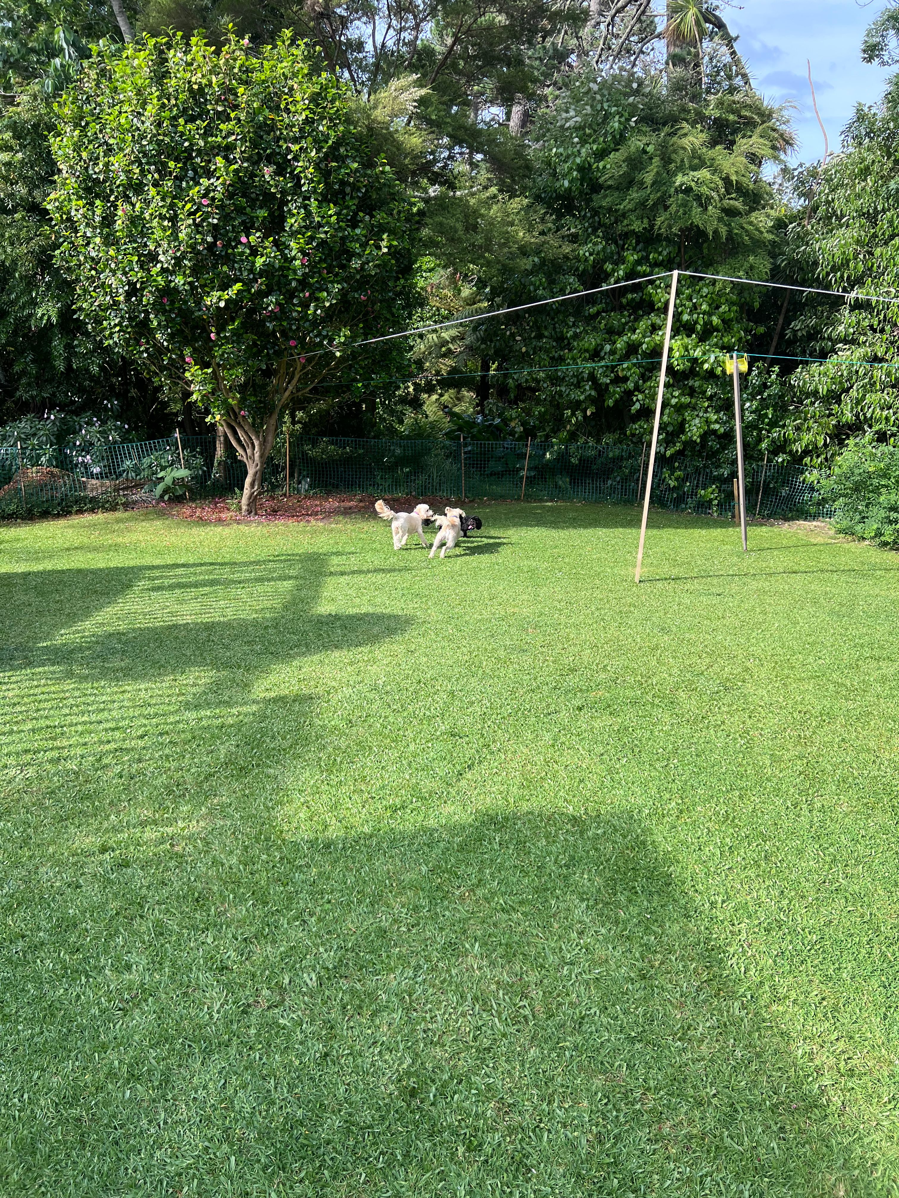 image-23