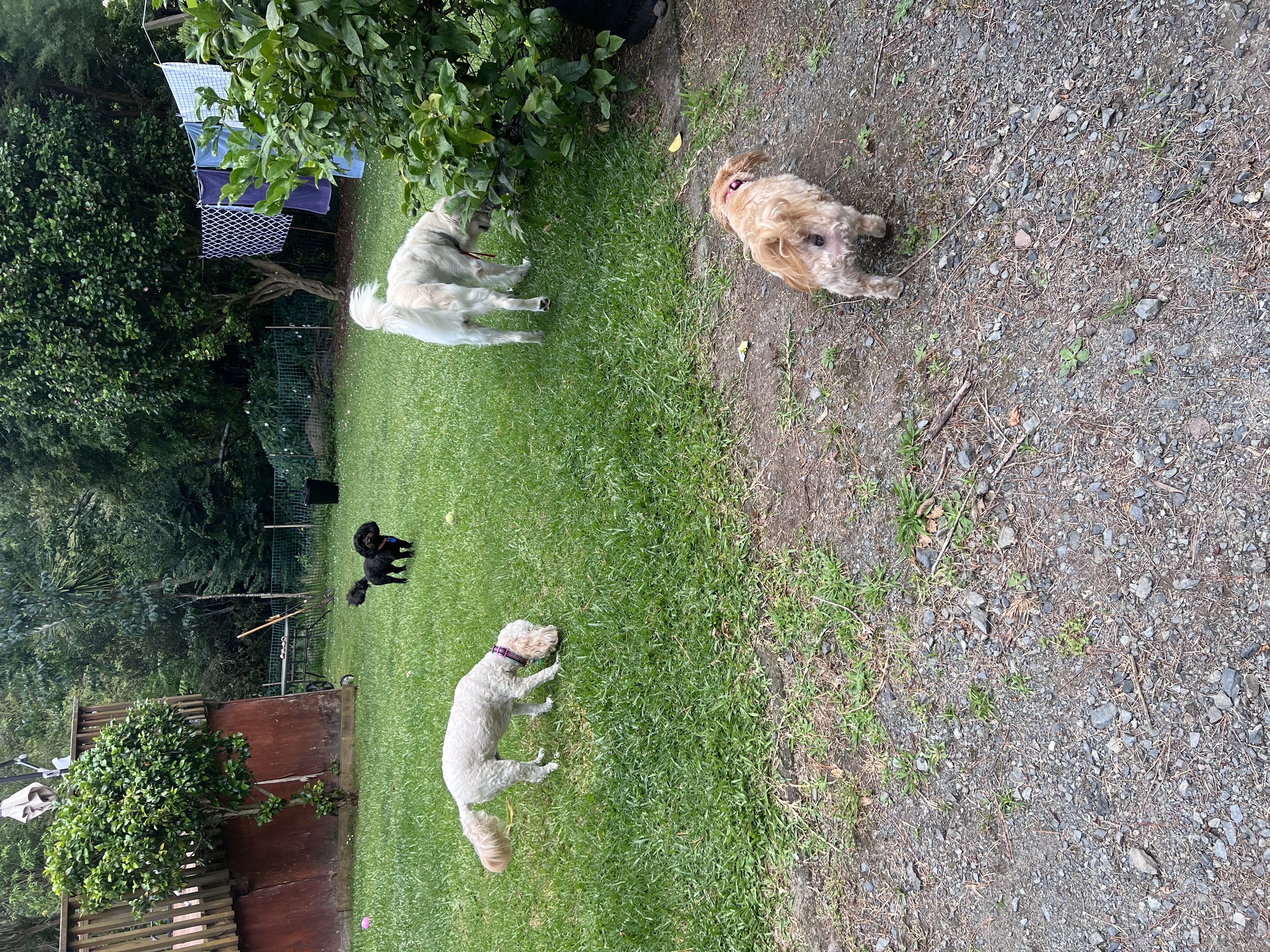 image-13
