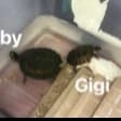 Bobby and Gigi