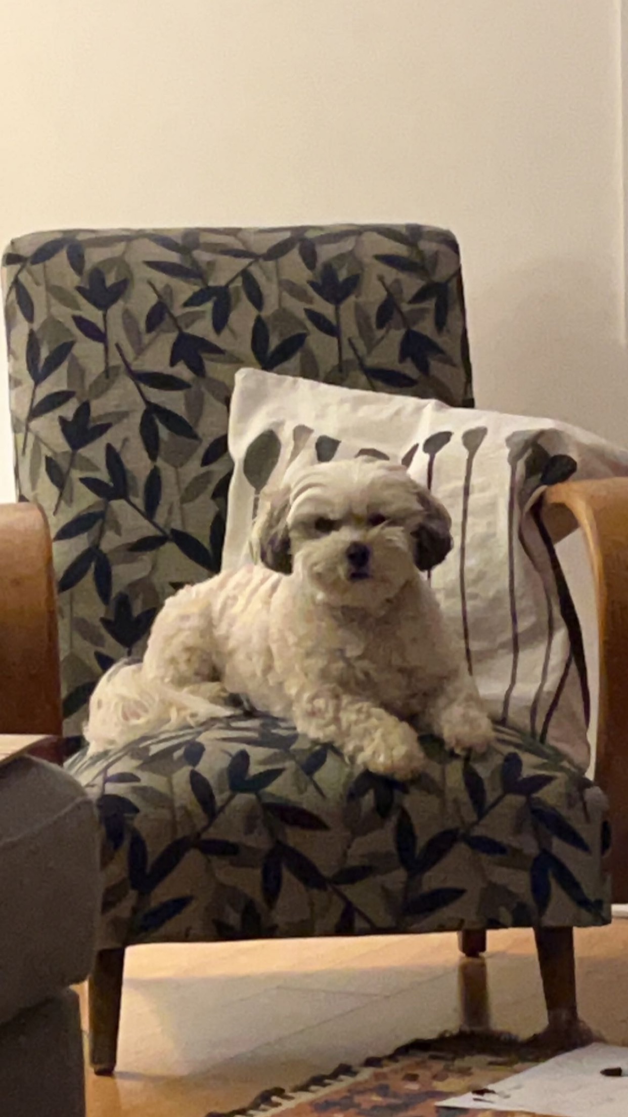 image-8