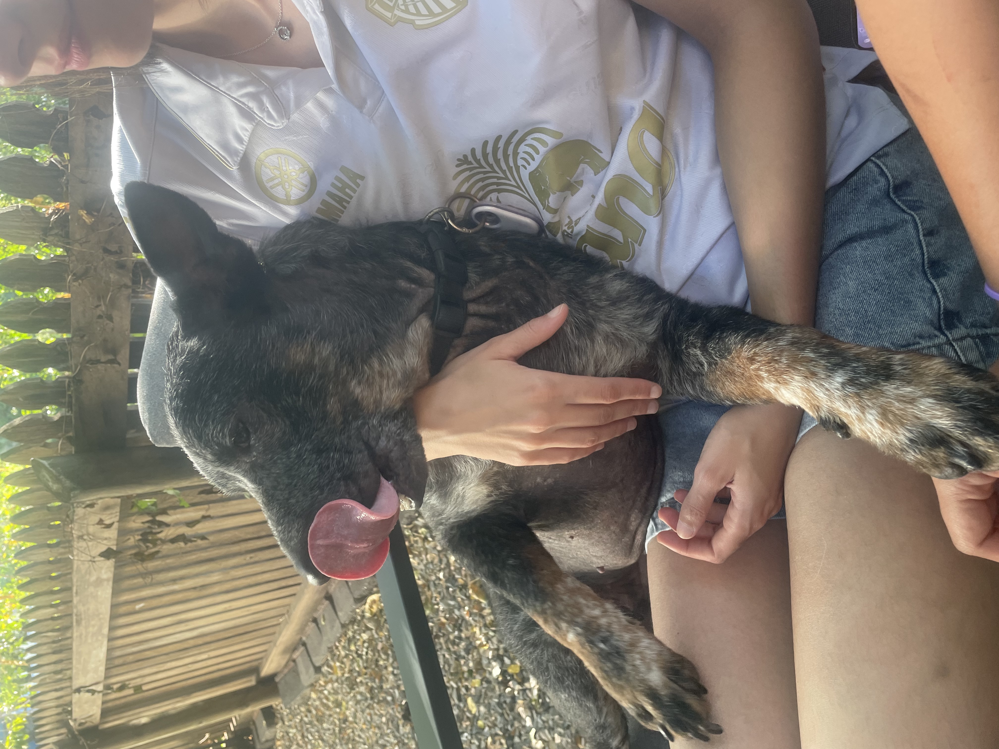 image-8