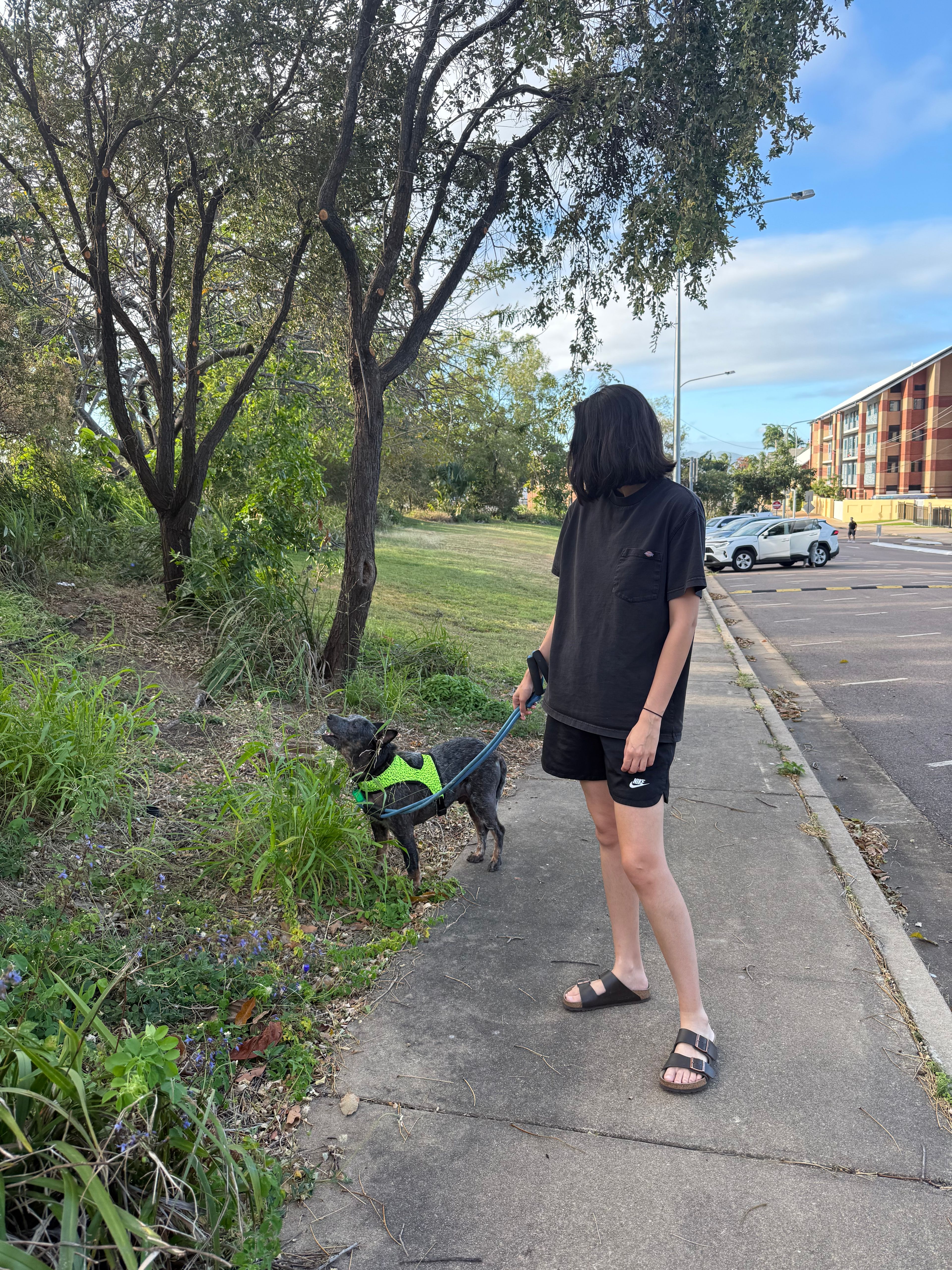 image-12