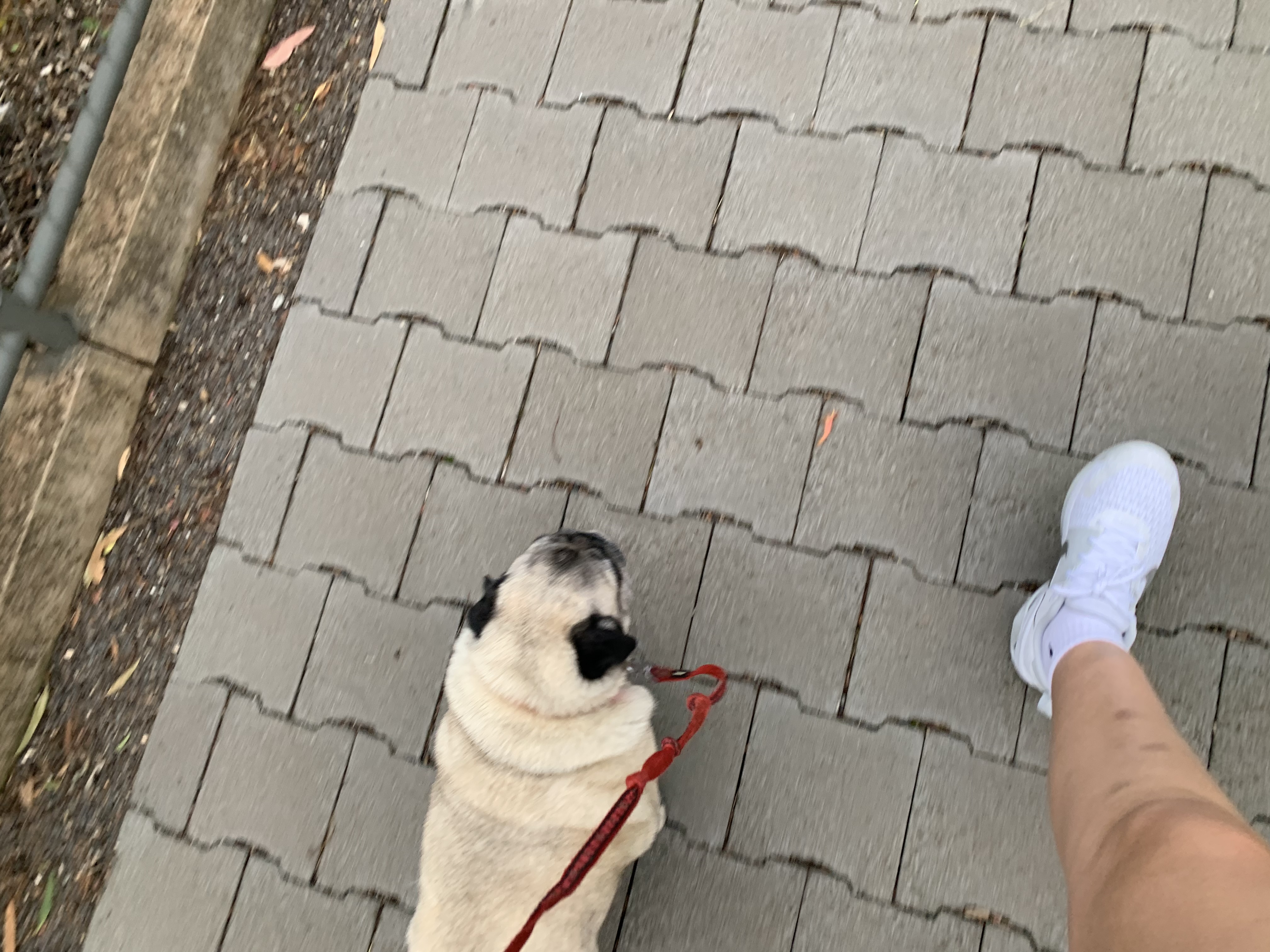 image-6