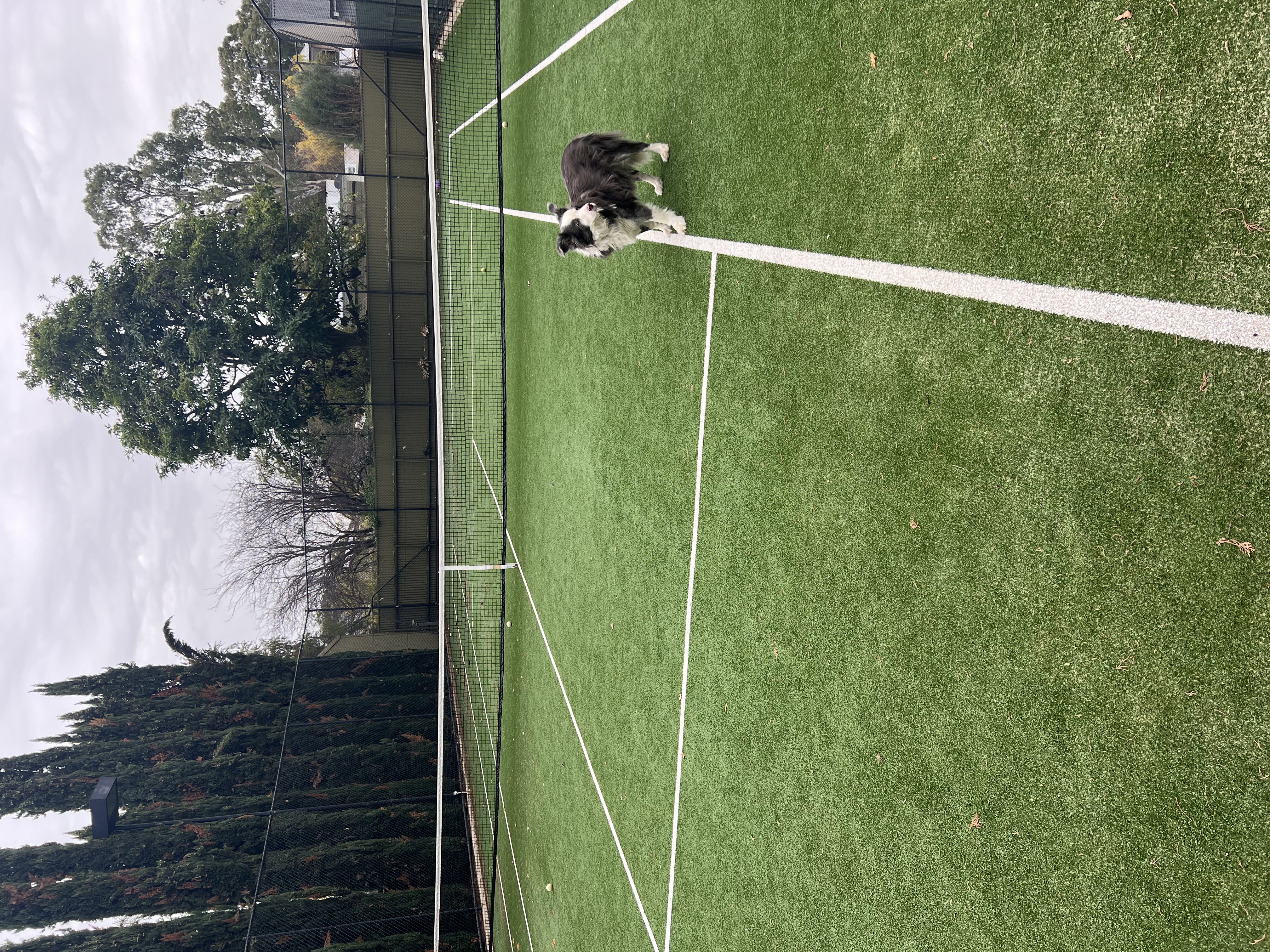 image-7