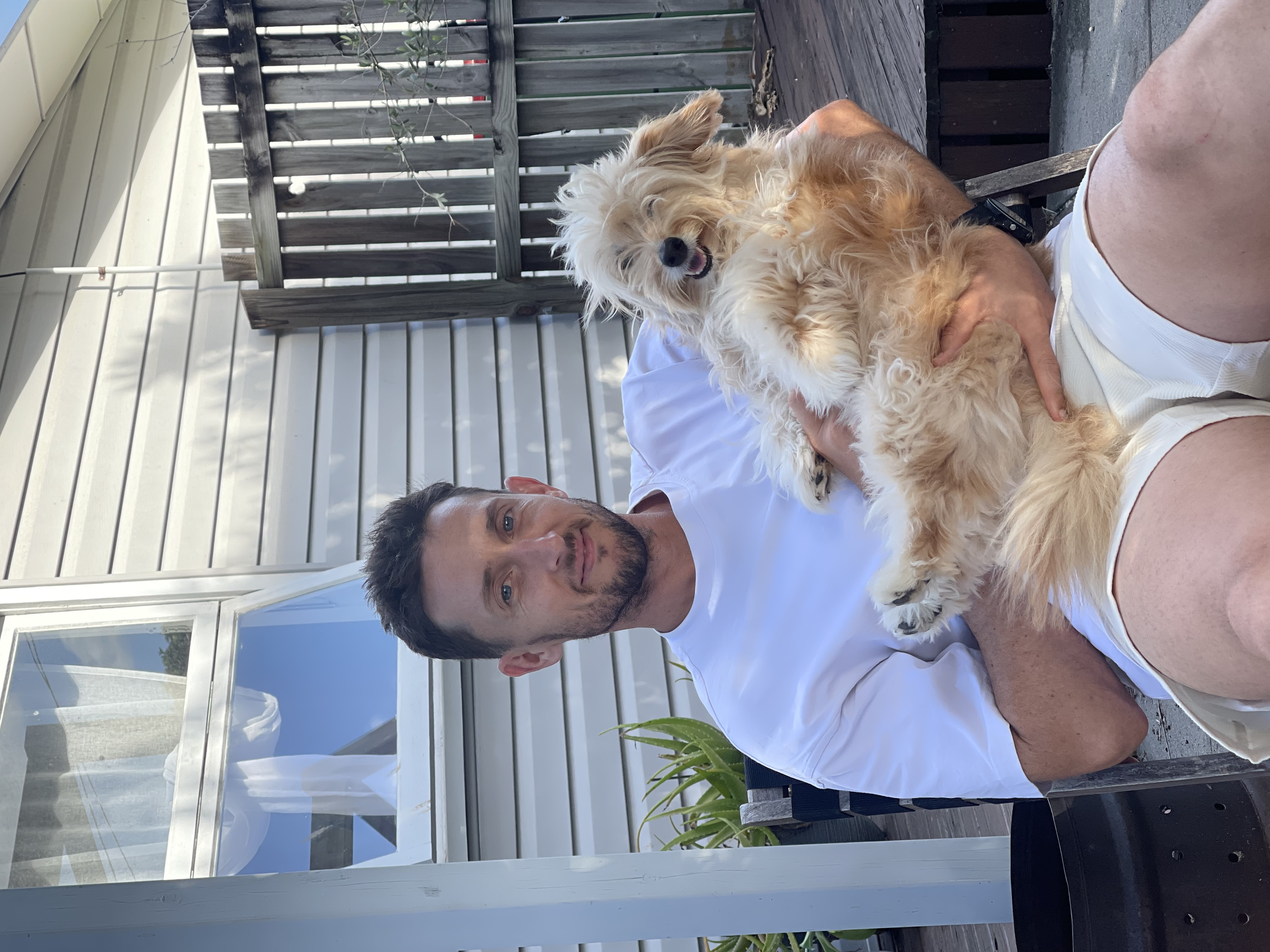 image-17