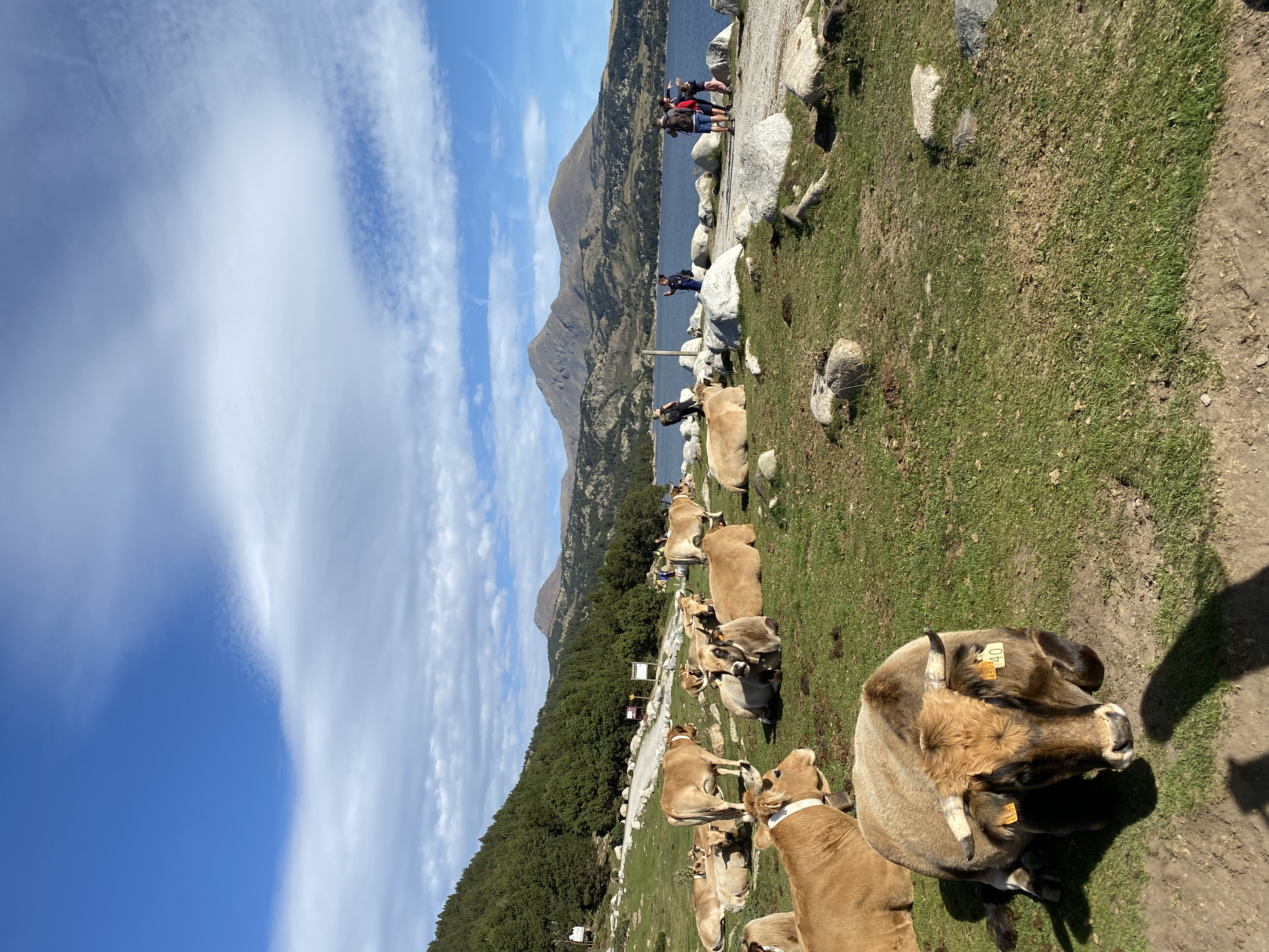 image-17