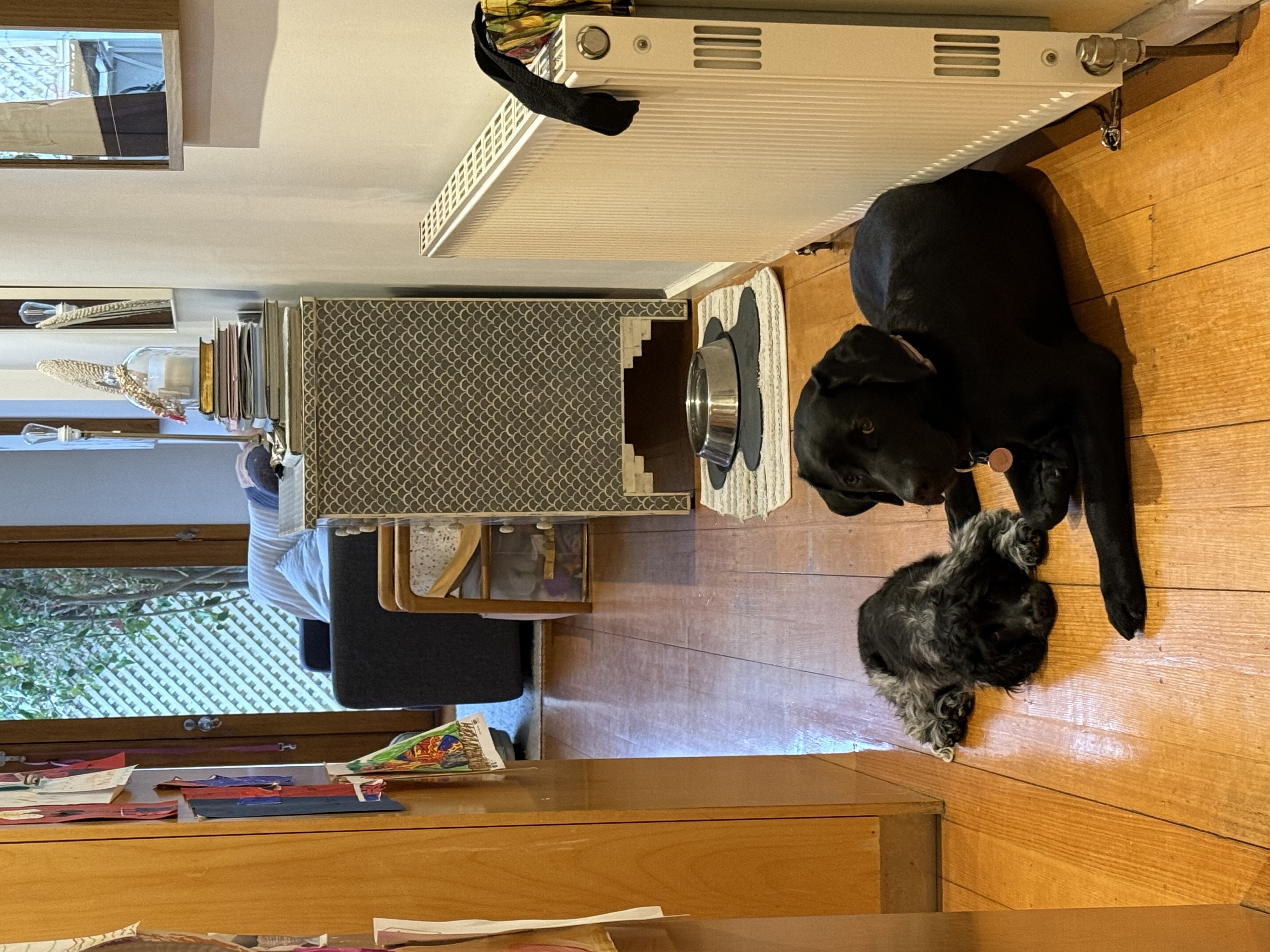 image-9