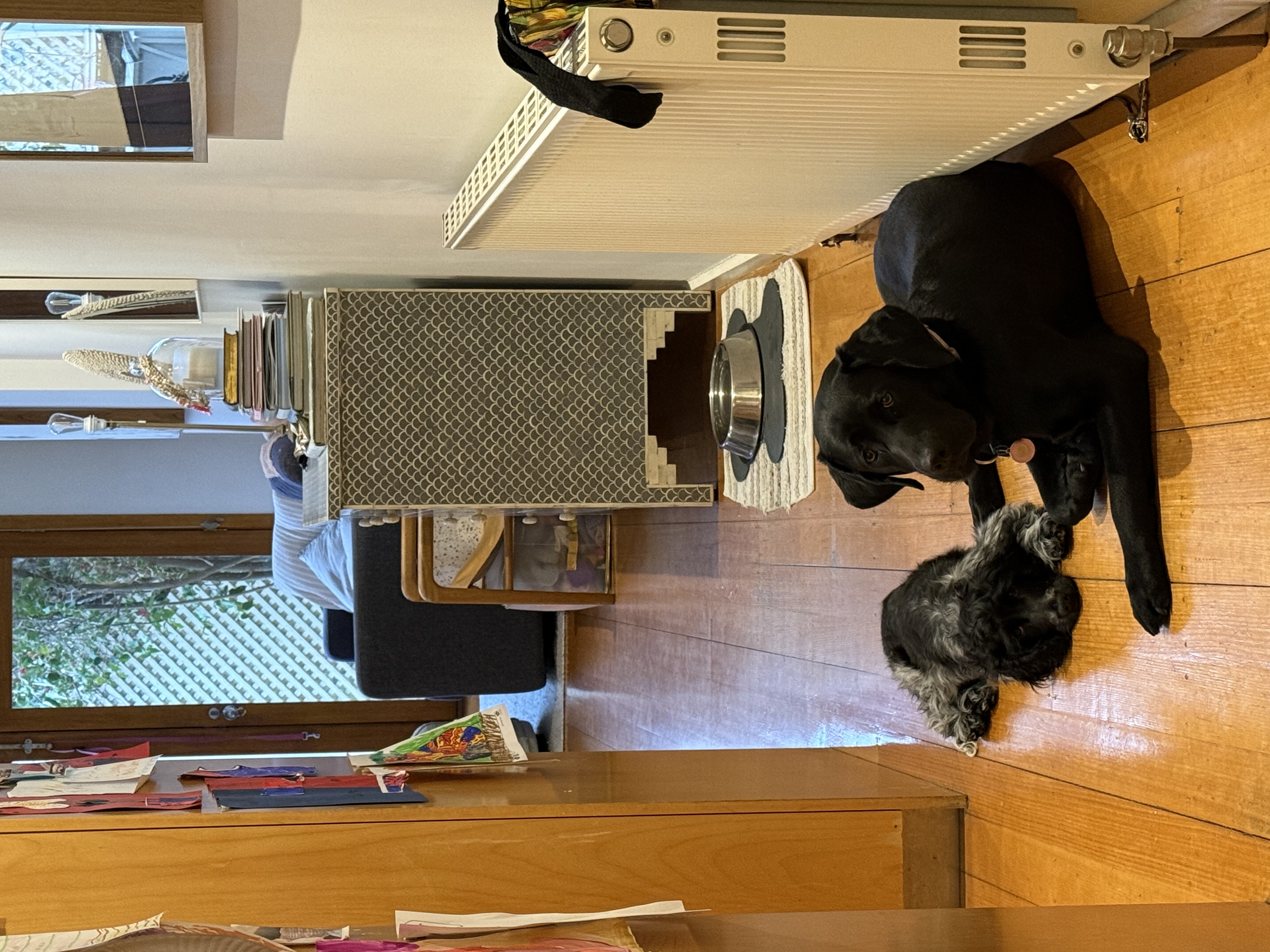 image-30