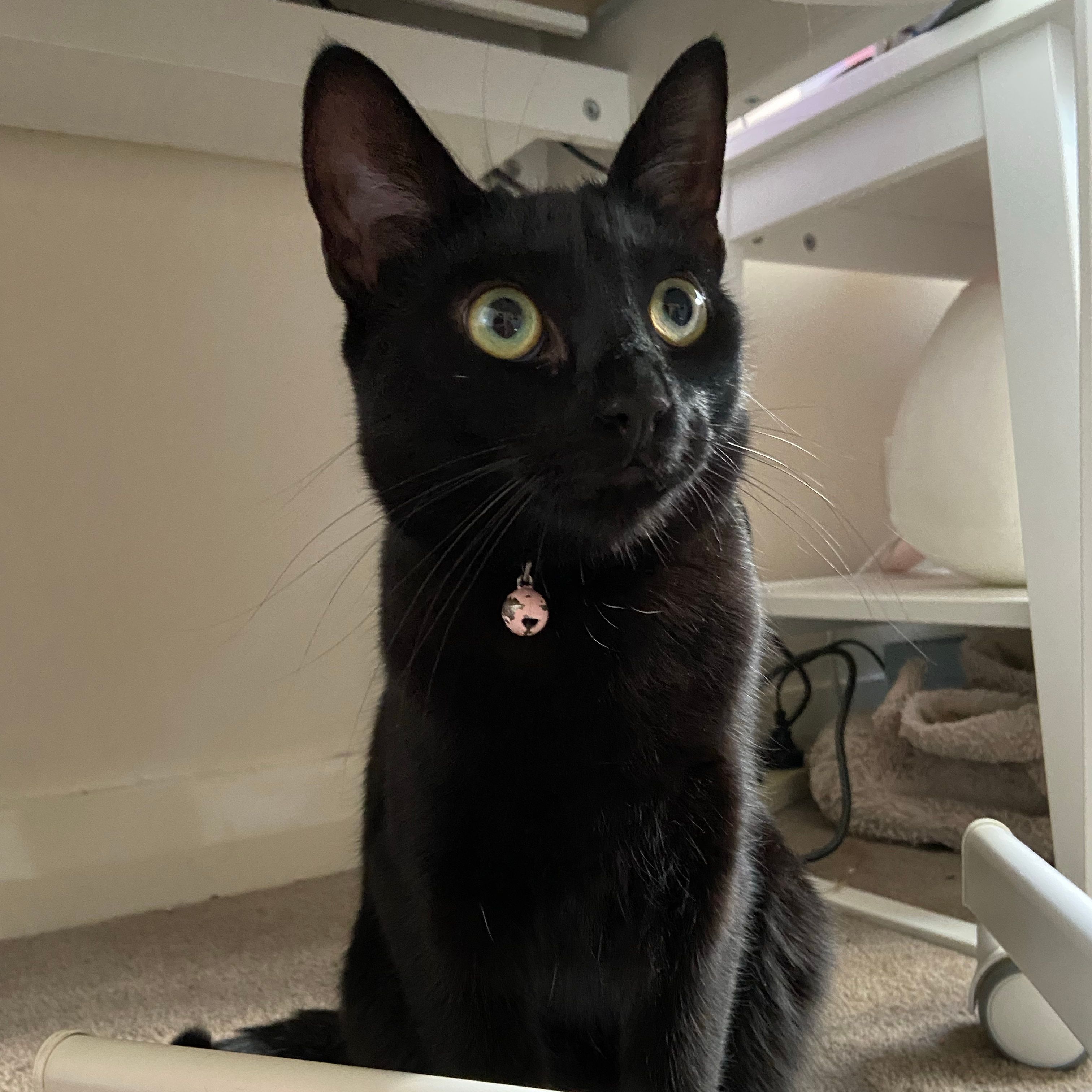 Kiki