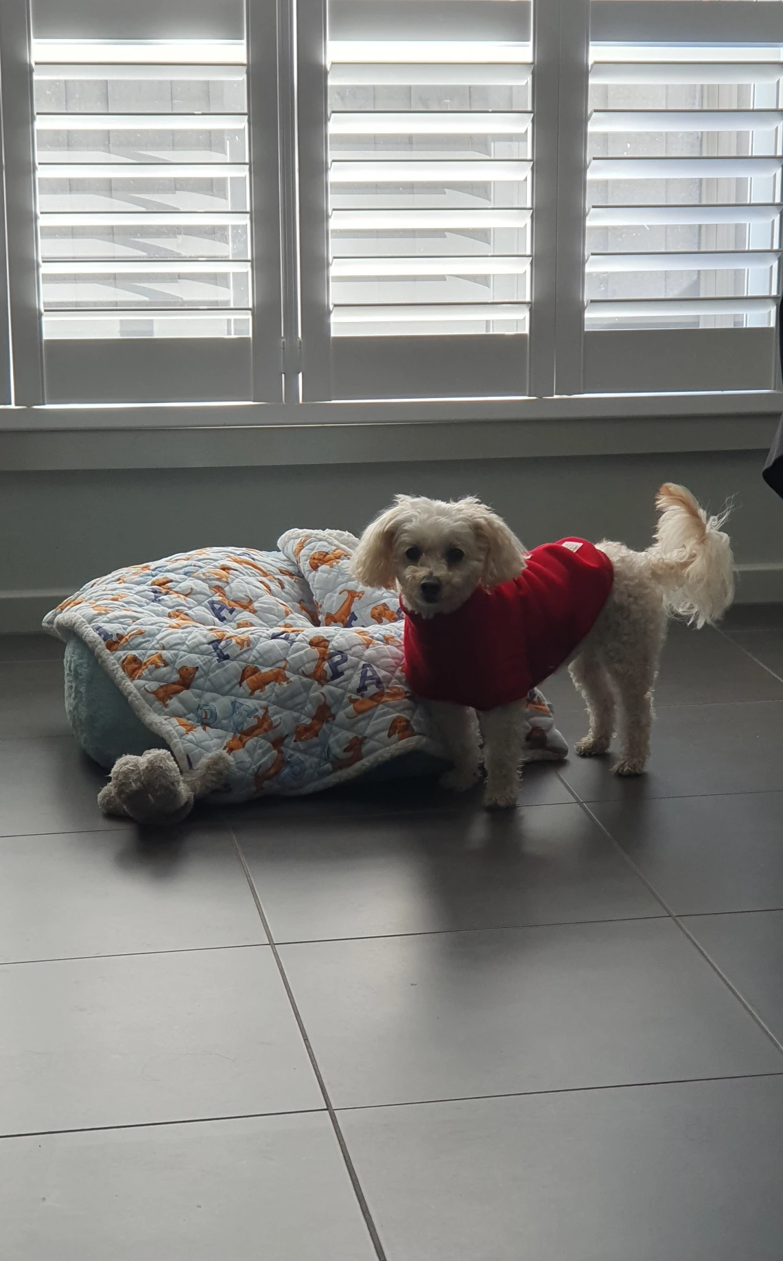 image-13
