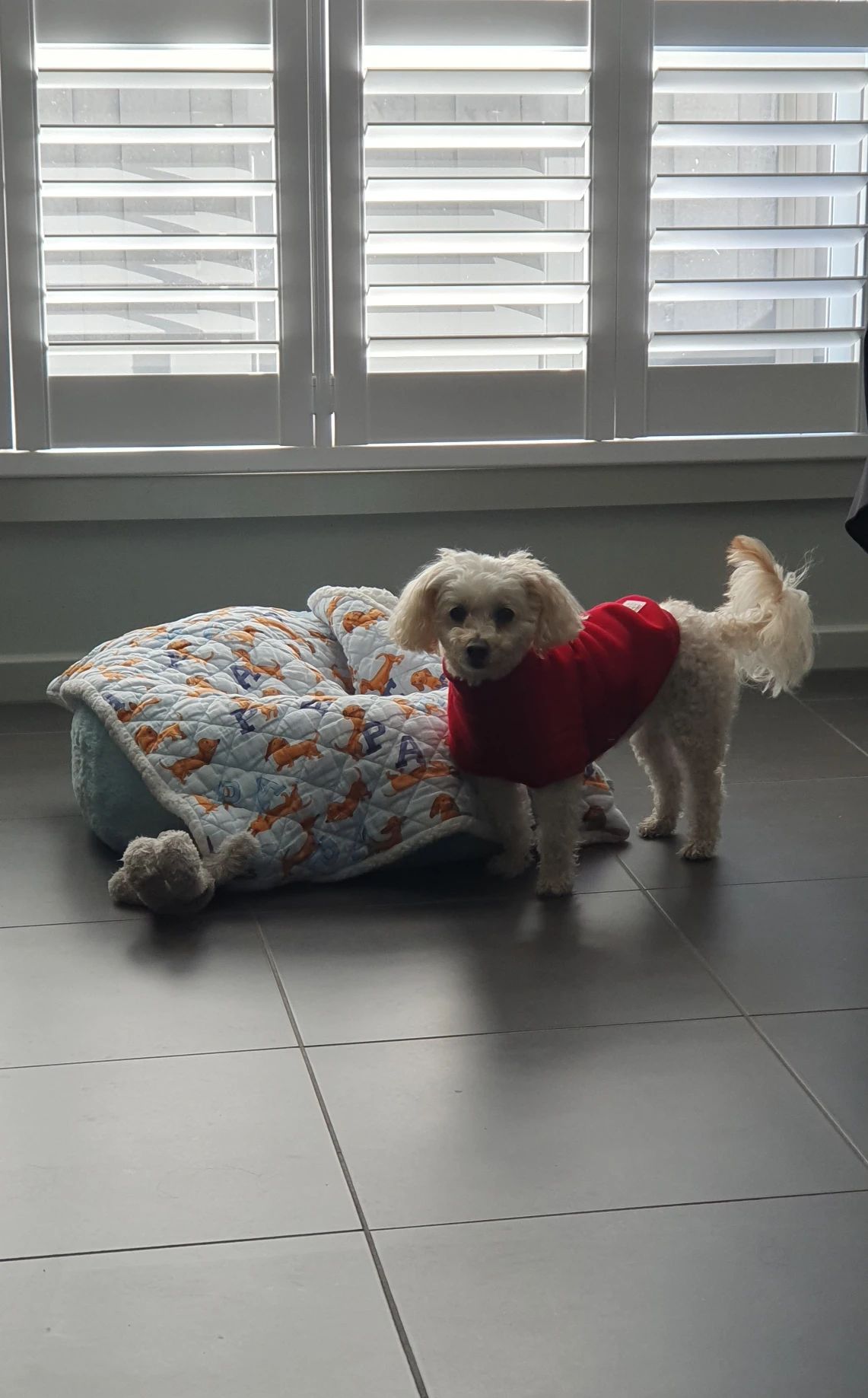 image-13