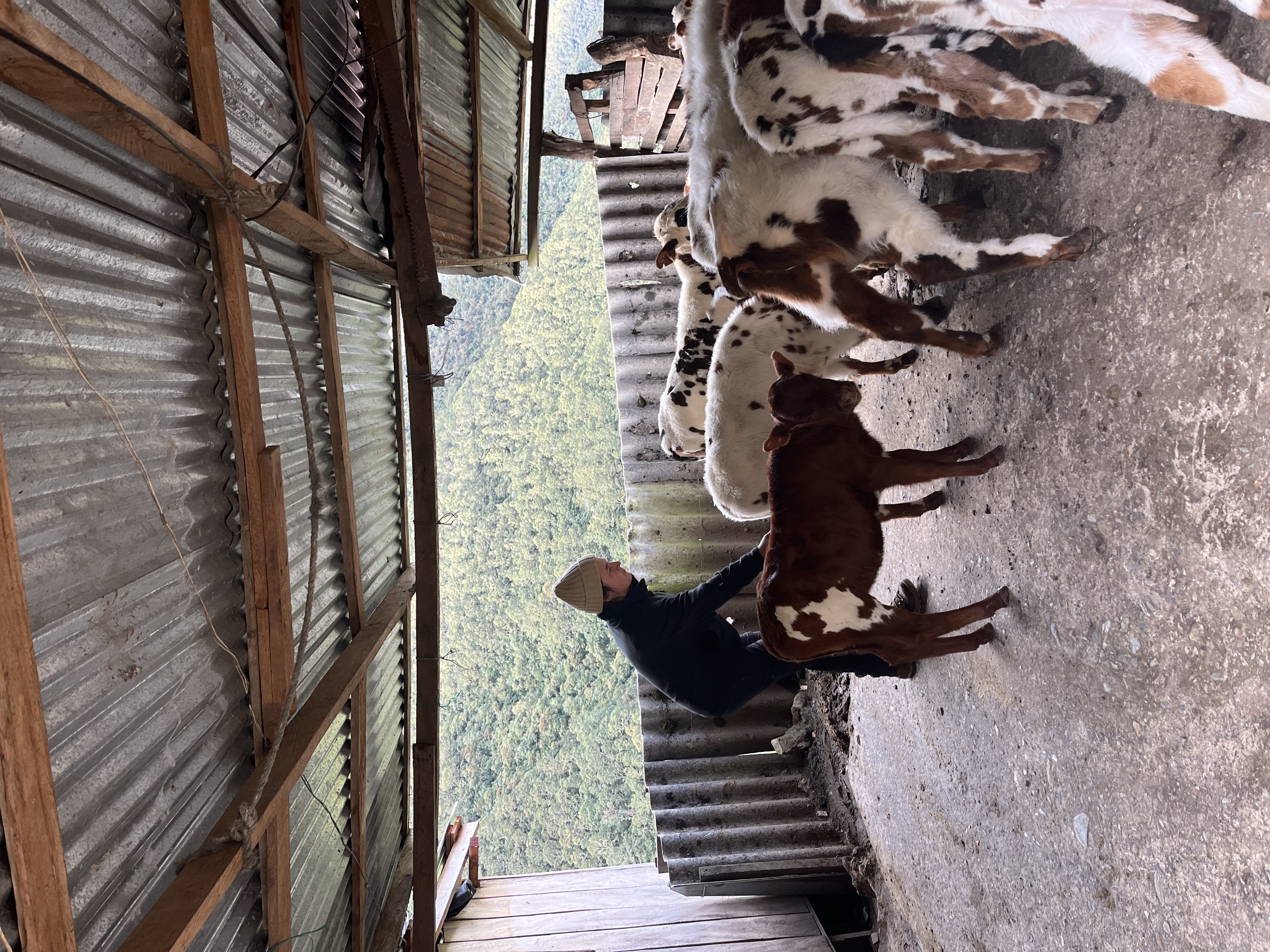 image-5