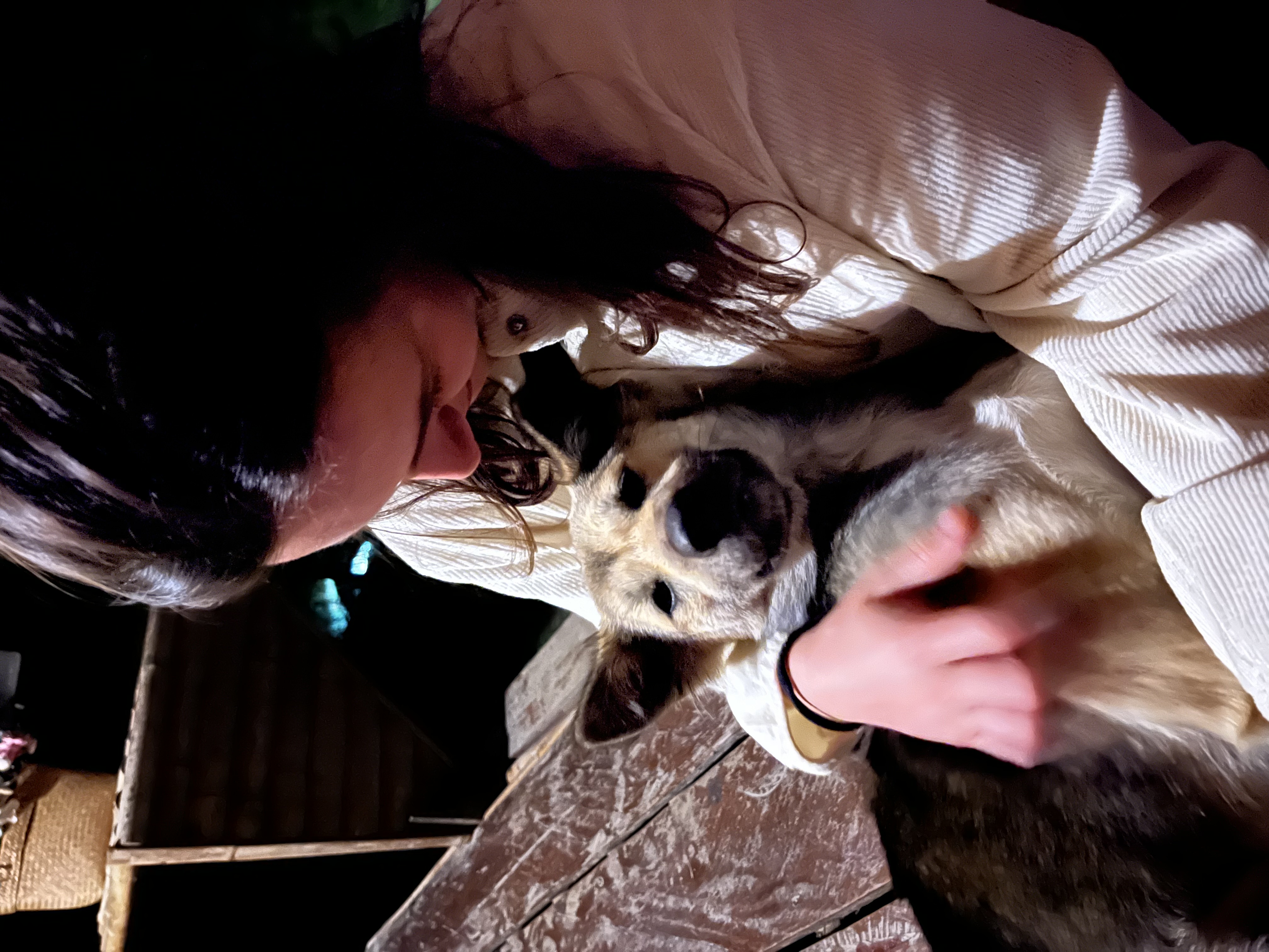 image-10