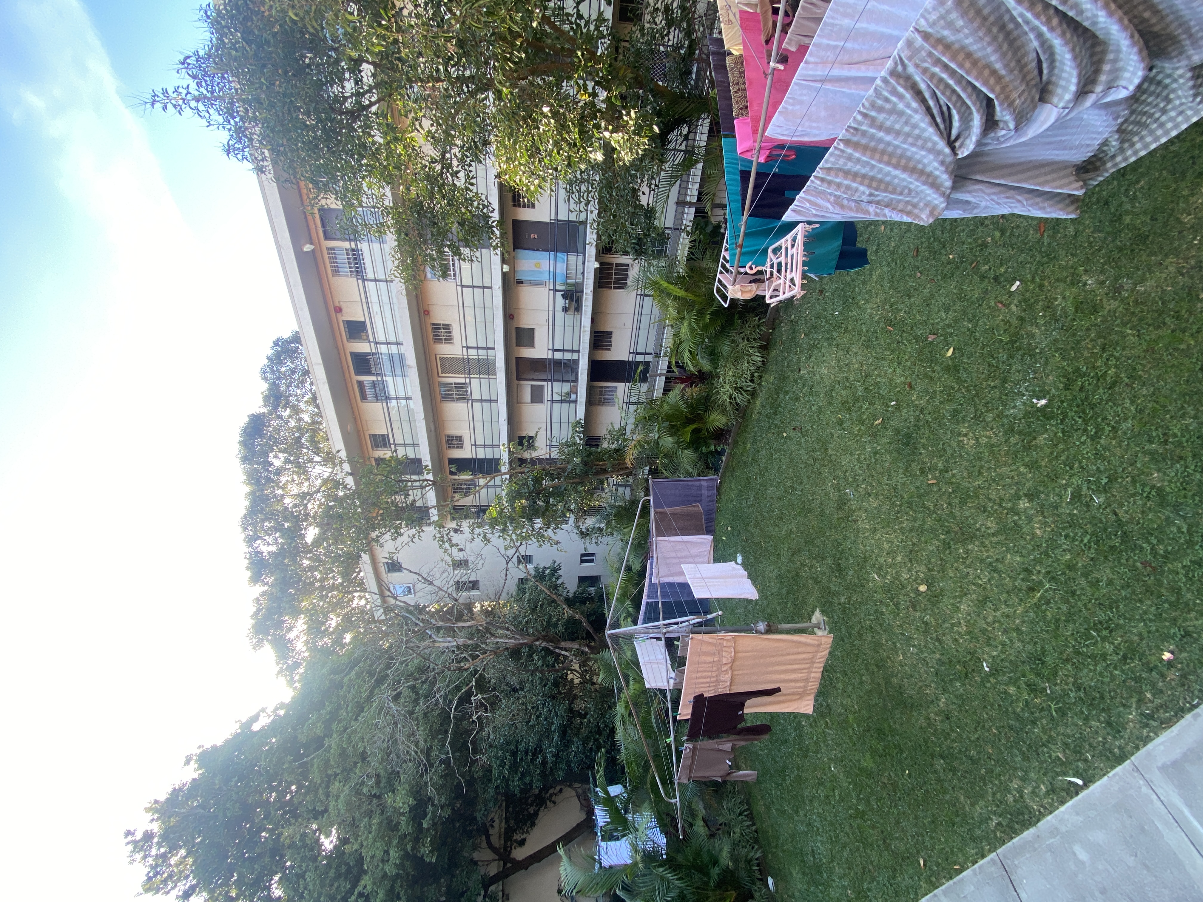 image-19