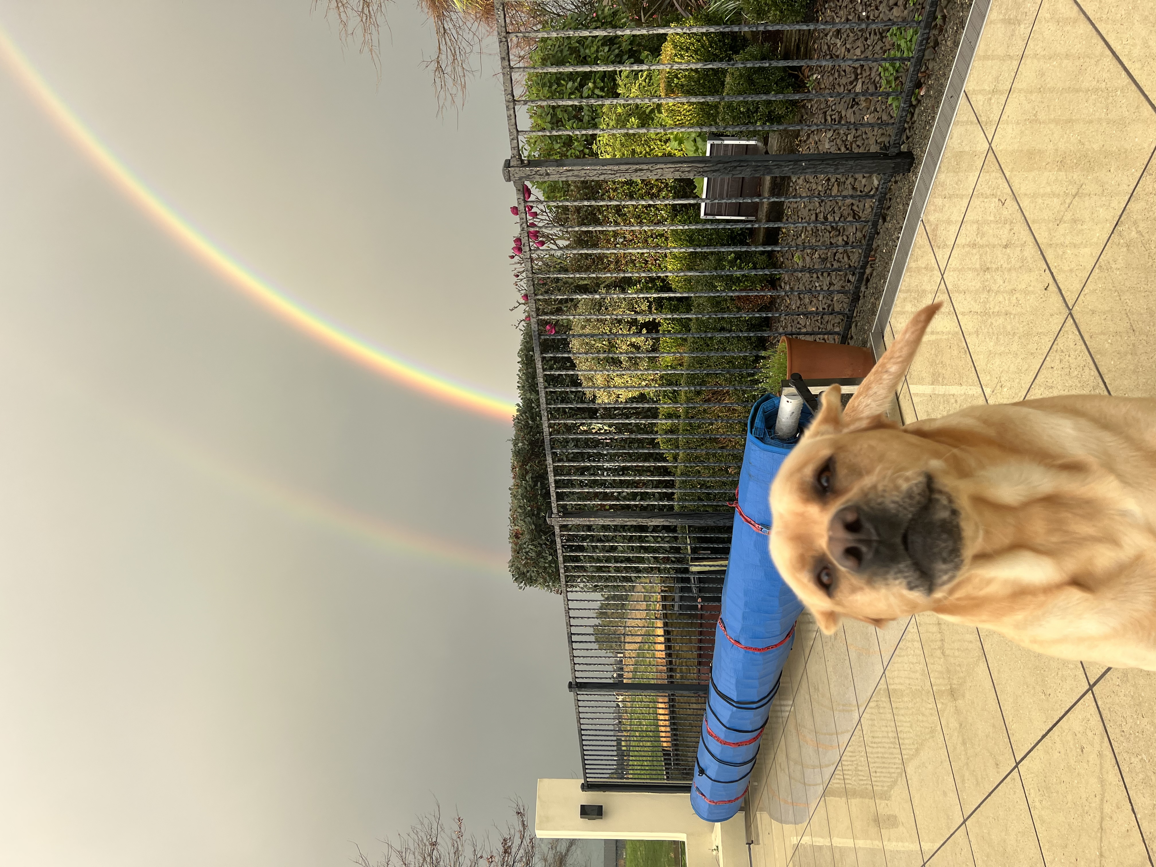 image-8