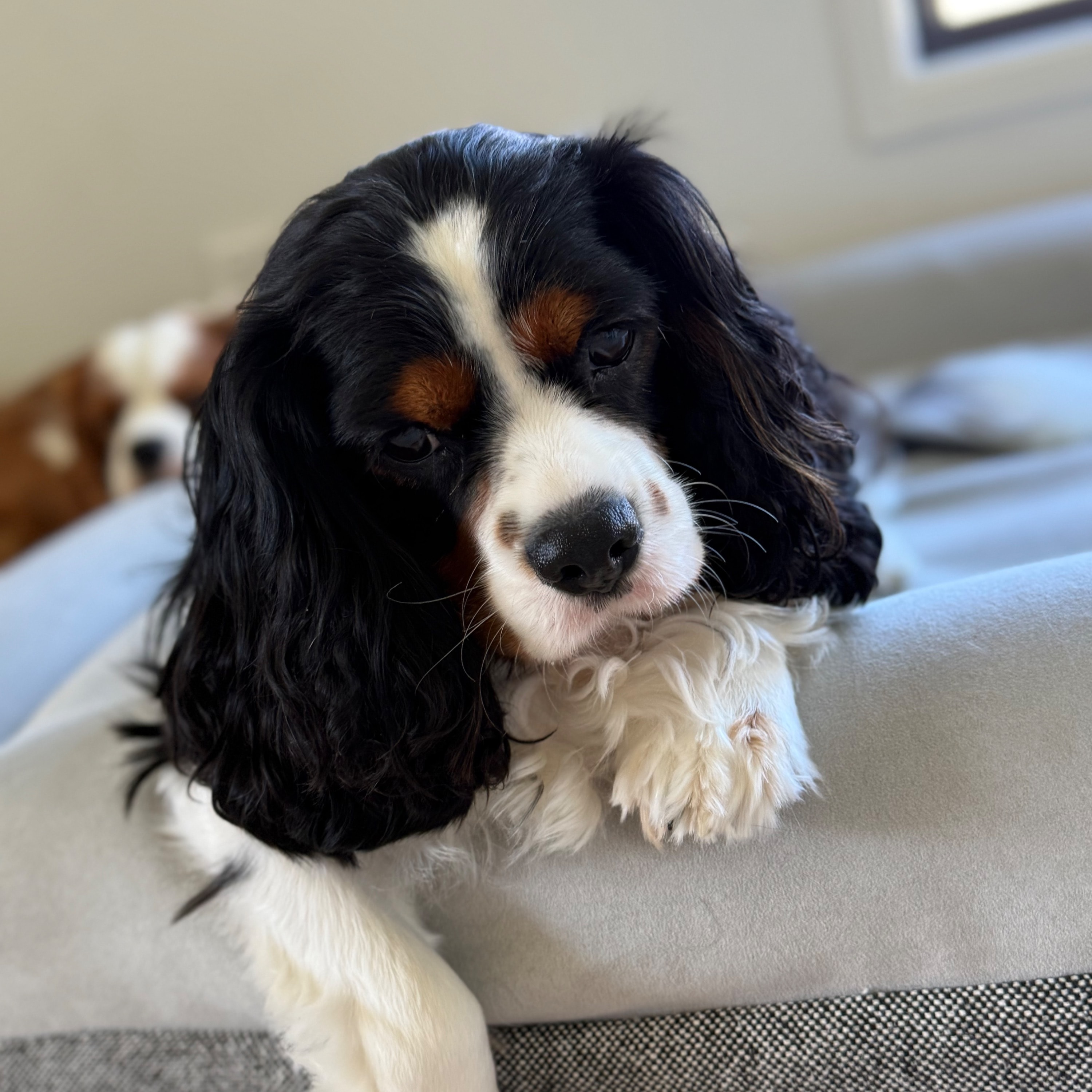 Max