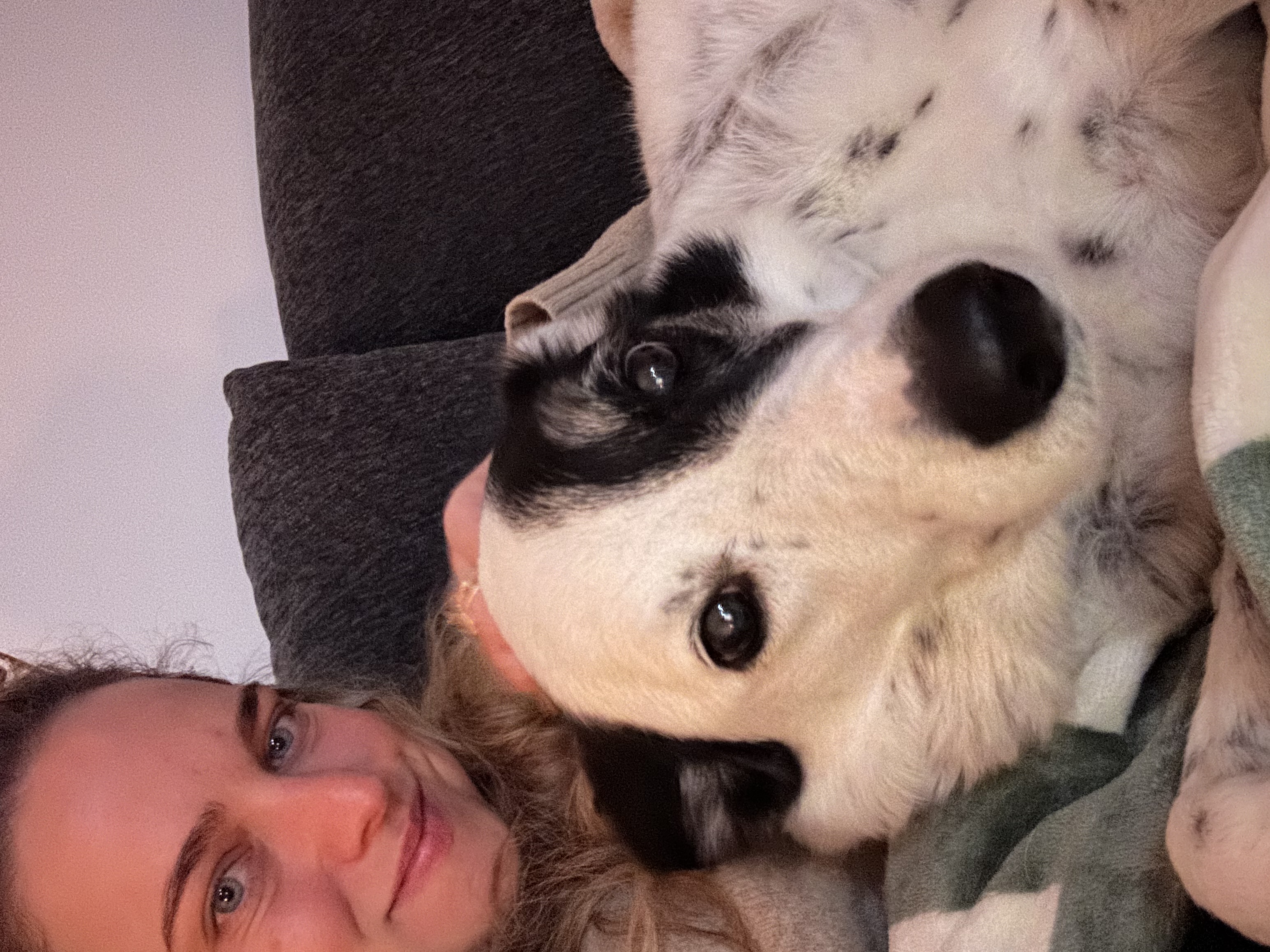 image-8