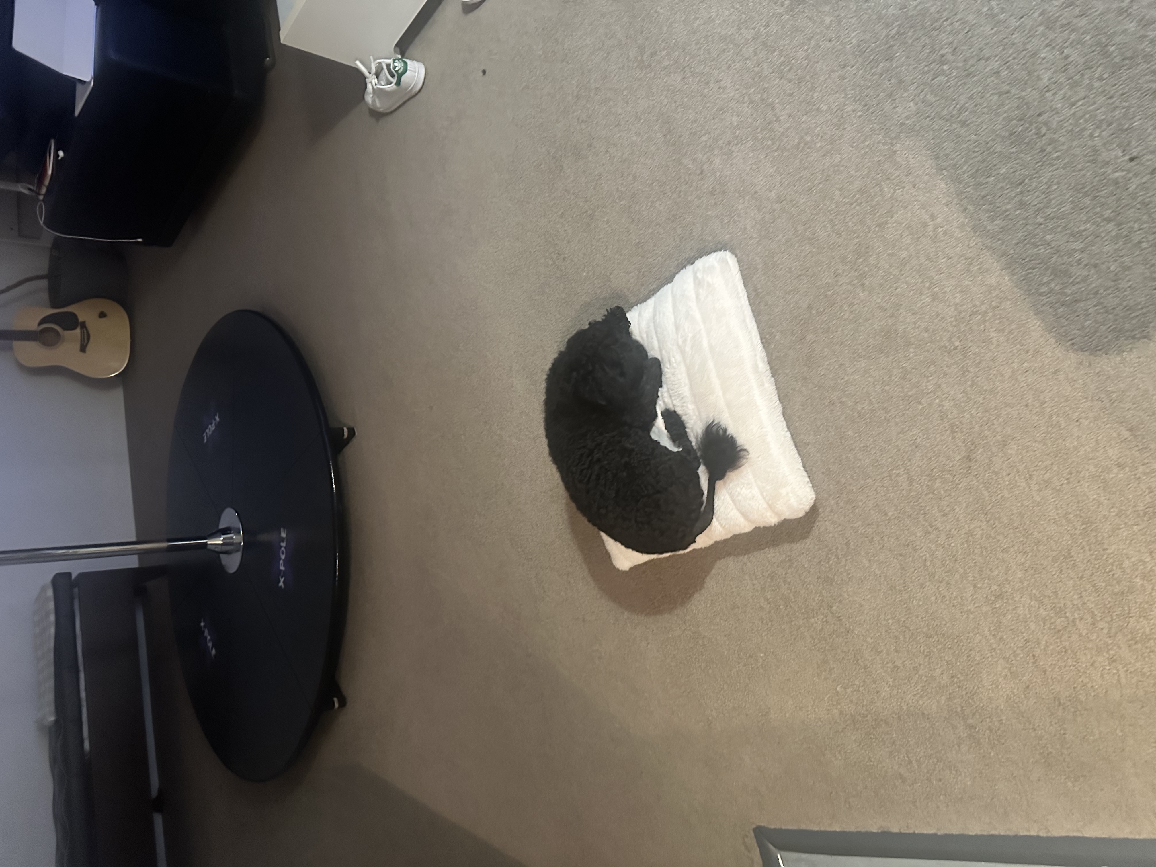 image-17