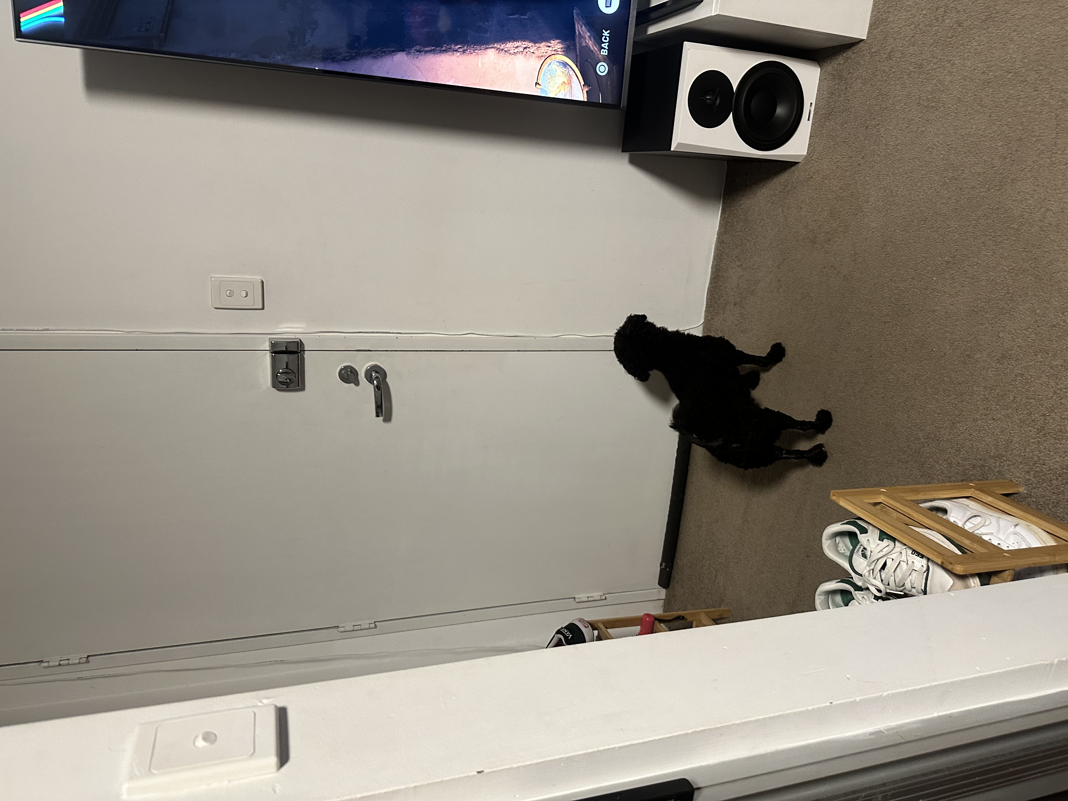 image-8