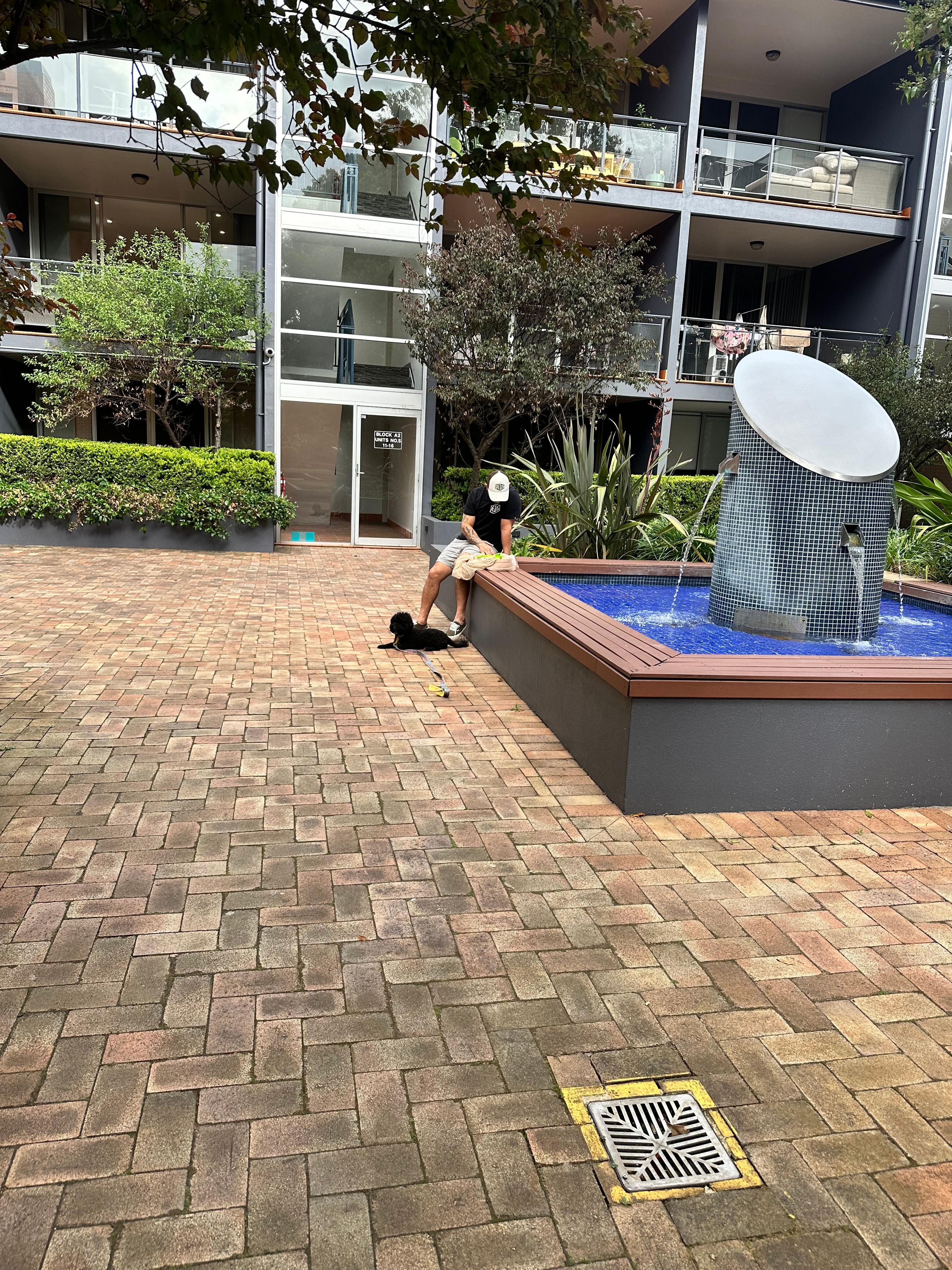 image-15