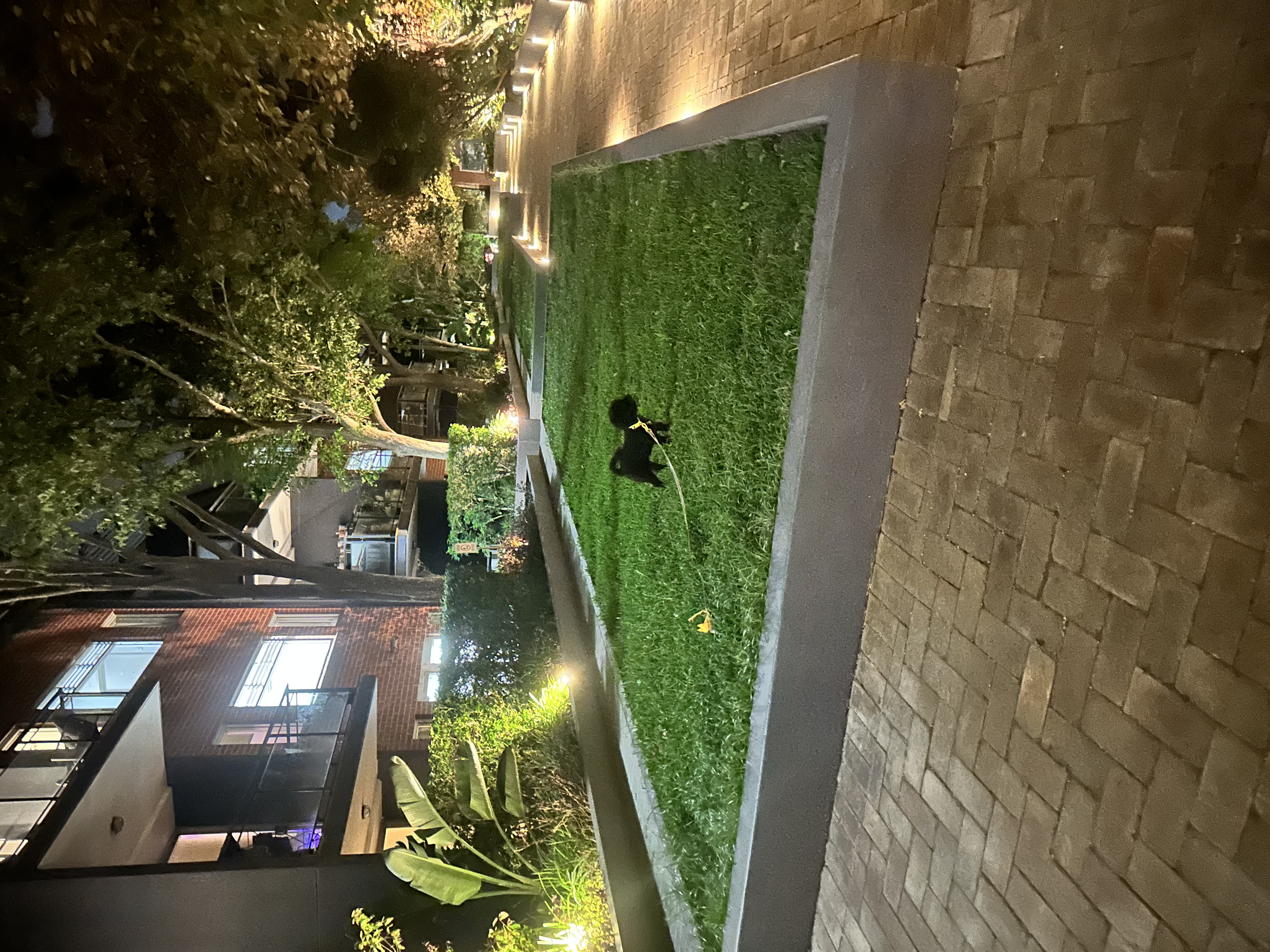 image-14