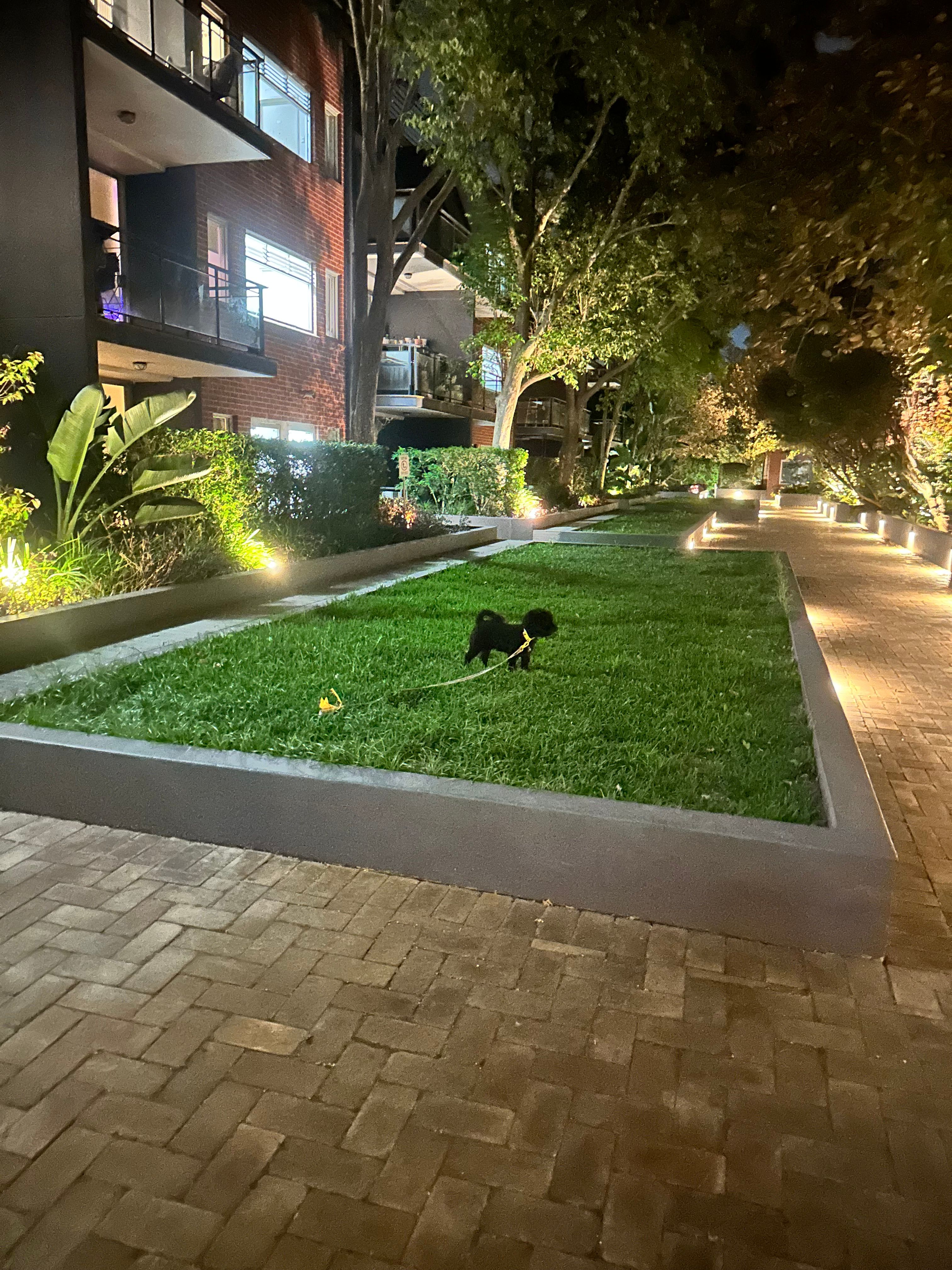 image-14