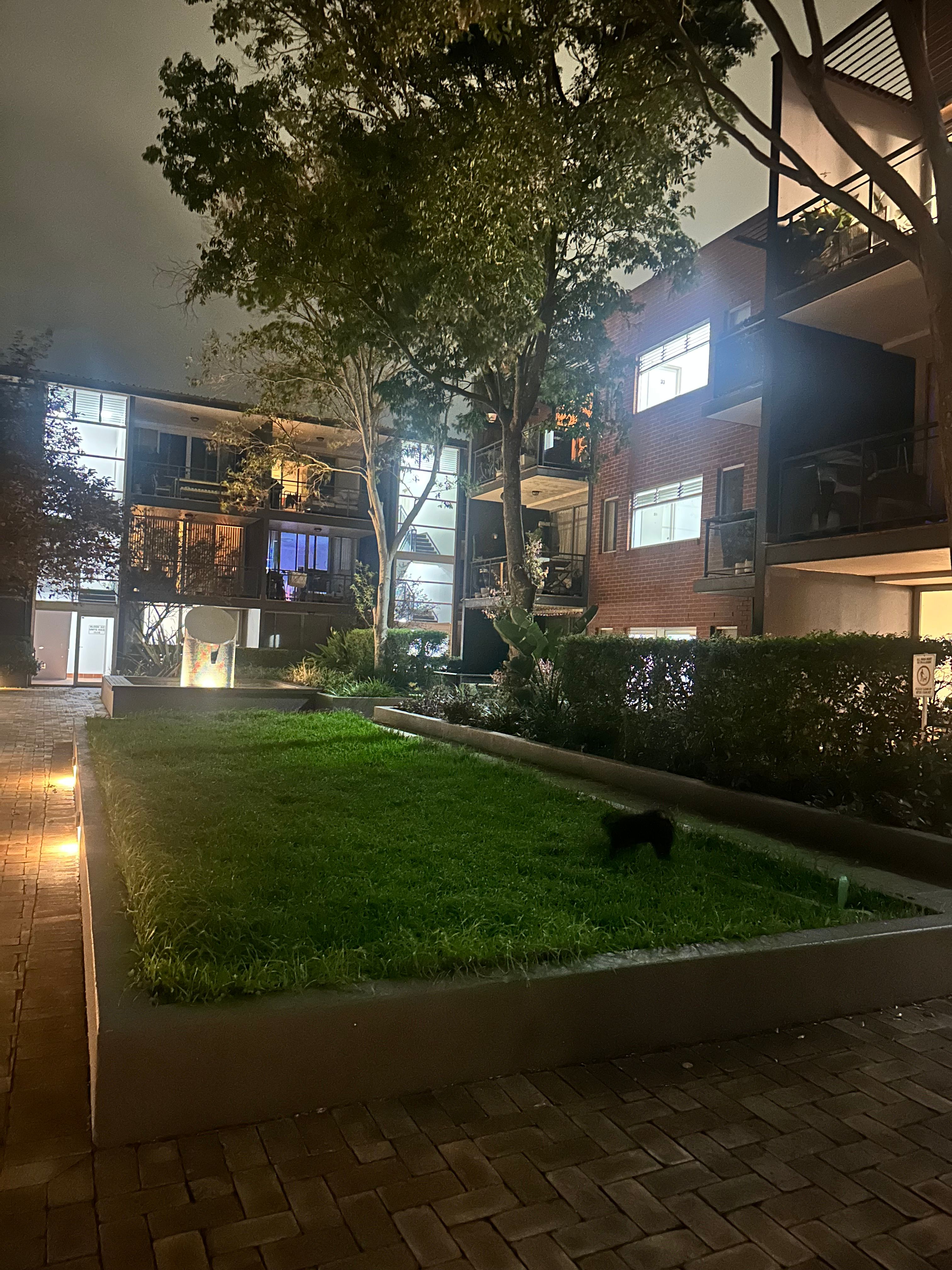 image-12